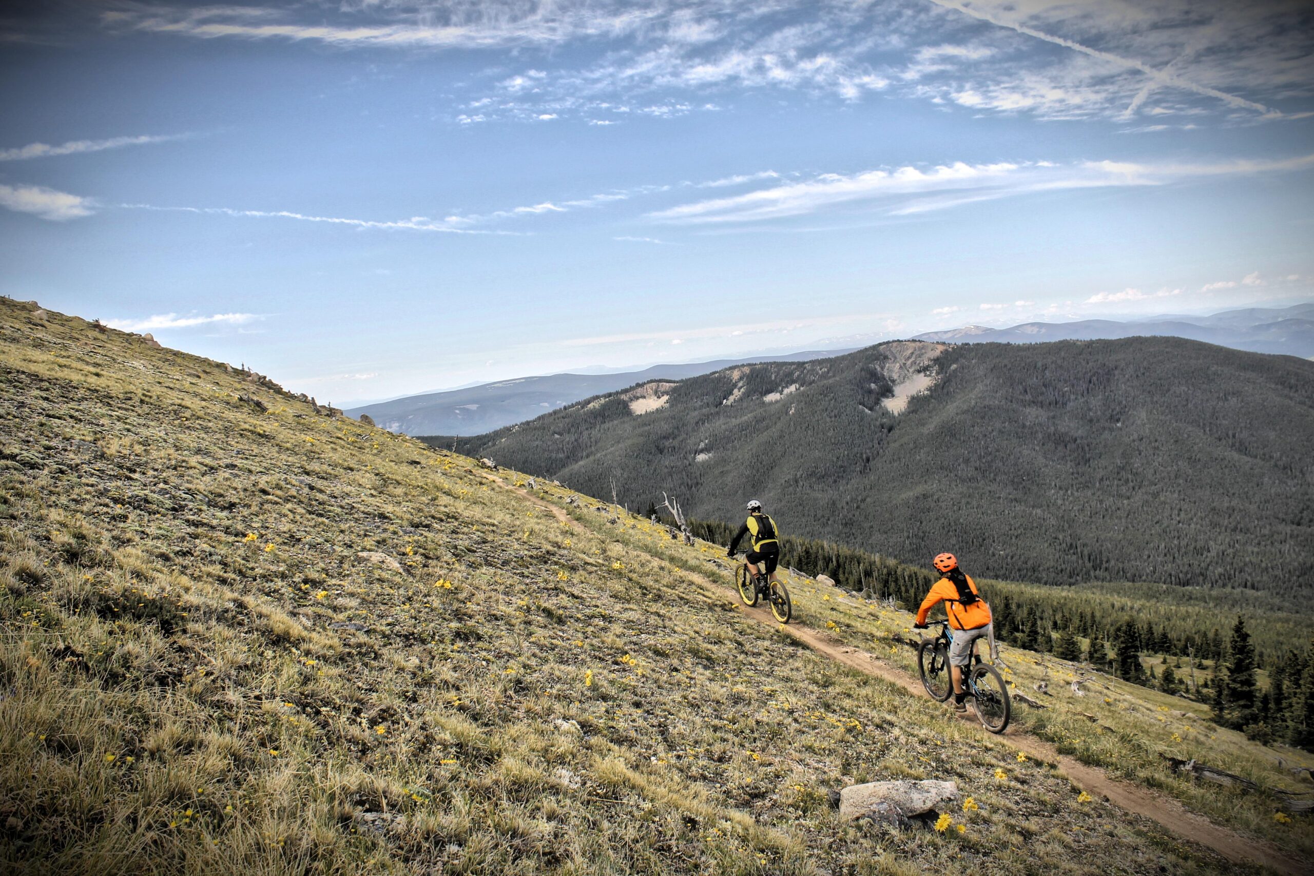 Two mountain bikers ride along a narrow dirt trail descending a grassy slope with wildflowers, surrounded by lush forests and distant mountains under a partly cloudy sky. Monarch Crest Trail mountain bike trail.
