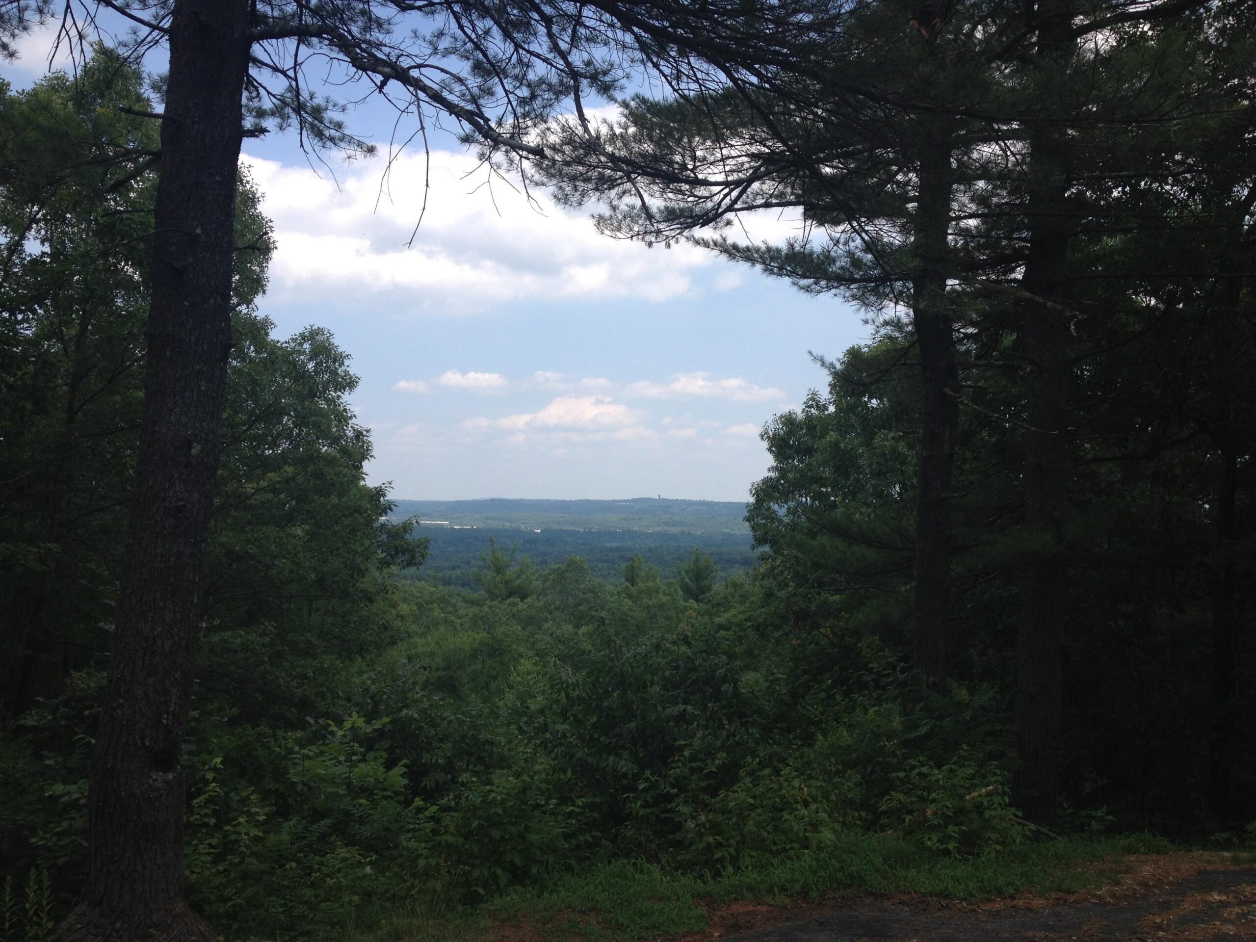 A scenic view of a lush green landscape framed by tall trees, with rolling hills stretching into the distance under a partly cloudy sky. Mt. Pisgah mountain bike trail.