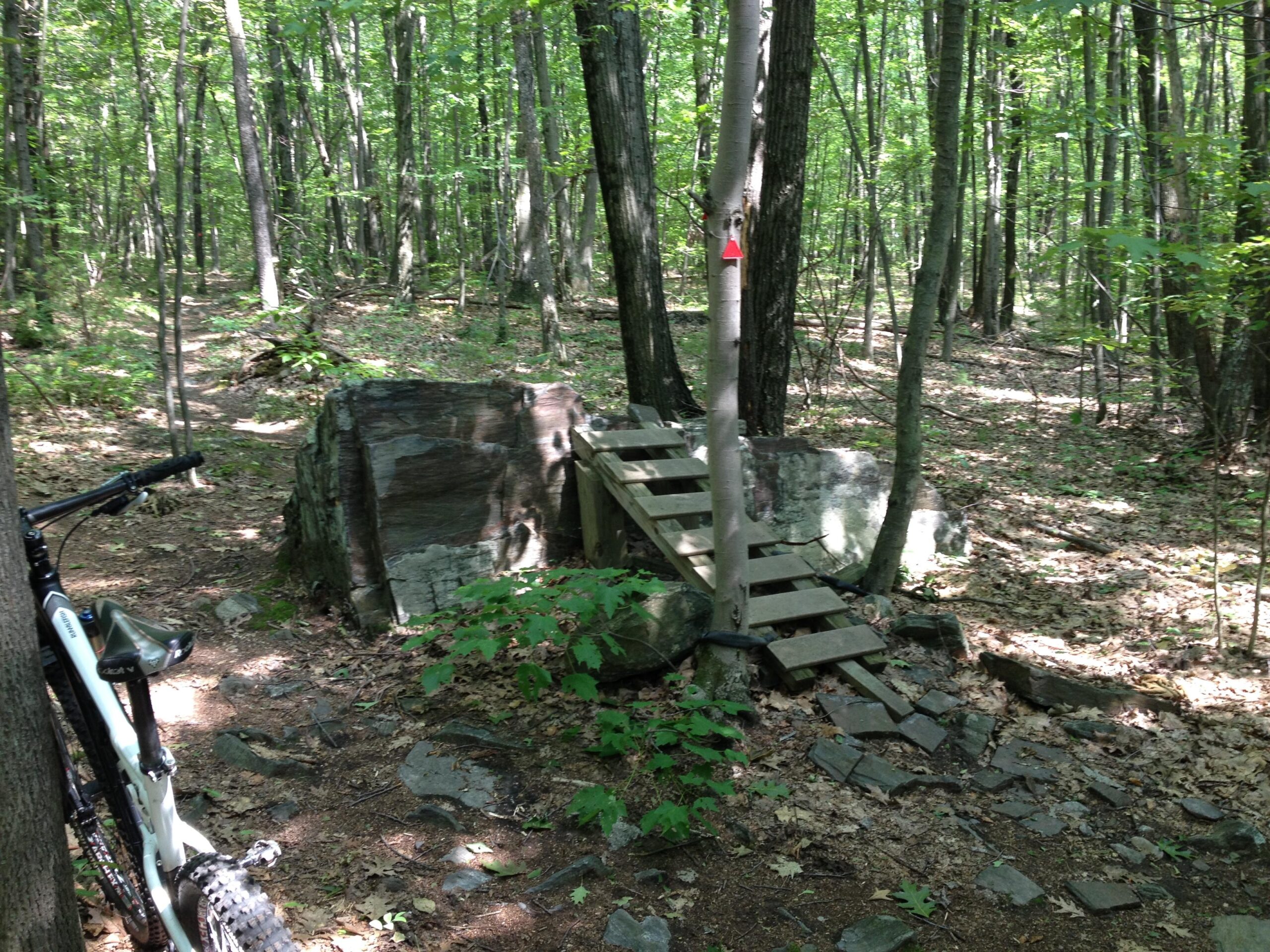 A shaded forest trail with a rocky surface, featuring a wooden bridge leading over a large boulder. In the foreground, a mountain bike is leaning against a tree. Sunlight filters through the trees, illuminating parts of the trail covered in leaves. Mt. Pisgah mountain bike trail.