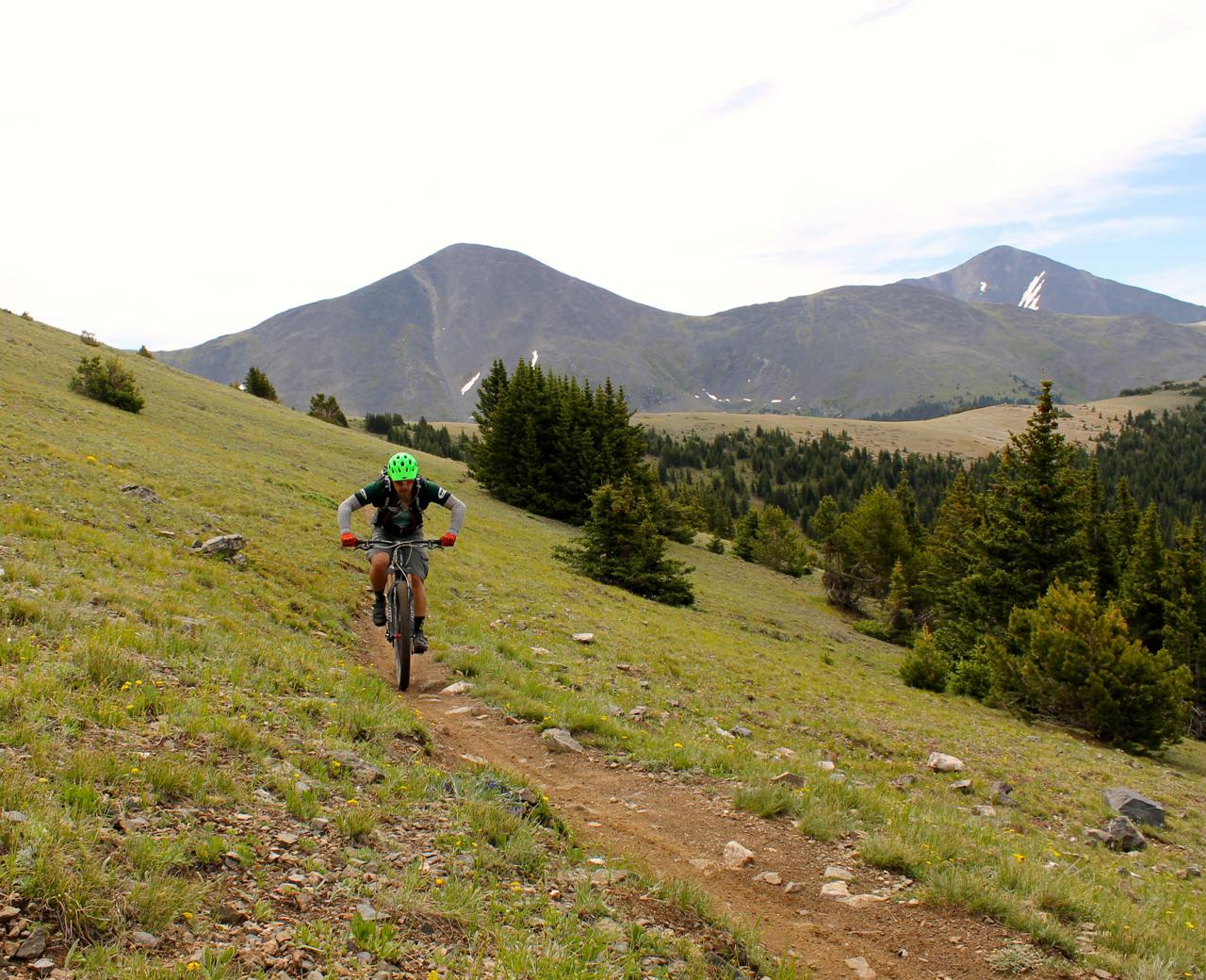 A person riding a mountain bike on a dirt trail through a grassy landscape, surrounded by trees and mountains in the background. The sky is partly cloudy, and the cyclist is wearing a green helmet and a sports outfit. Monarch Crest Trail mountain bike trail.