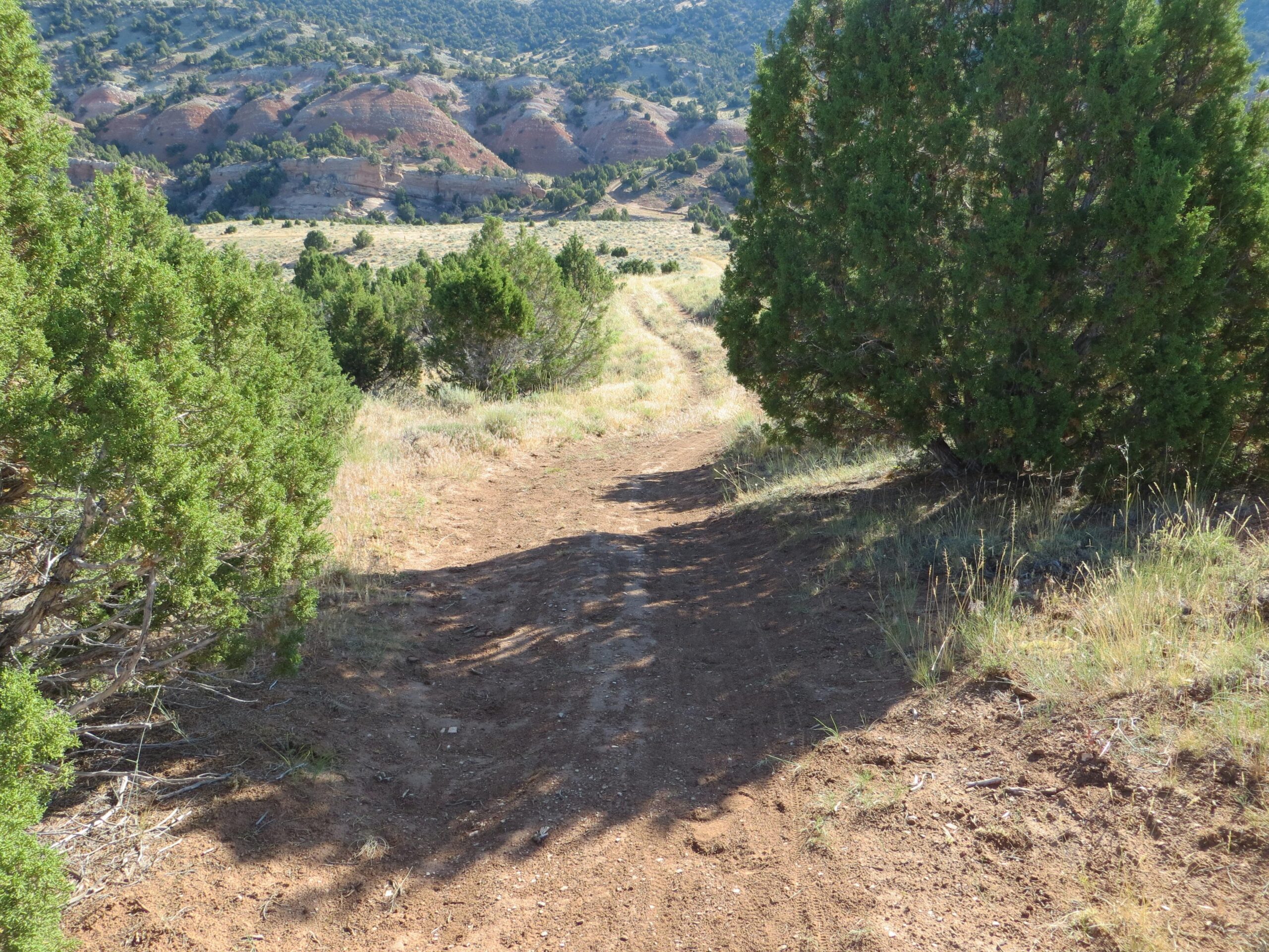 A dirt path winding through grassy terrain with low shrubs on either side, leading to a view of rolling hills in the distance. The sunlight casts shadows across the path, highlighting the natural surroundings. Johnny Behind The Rocks mountain bike trail.