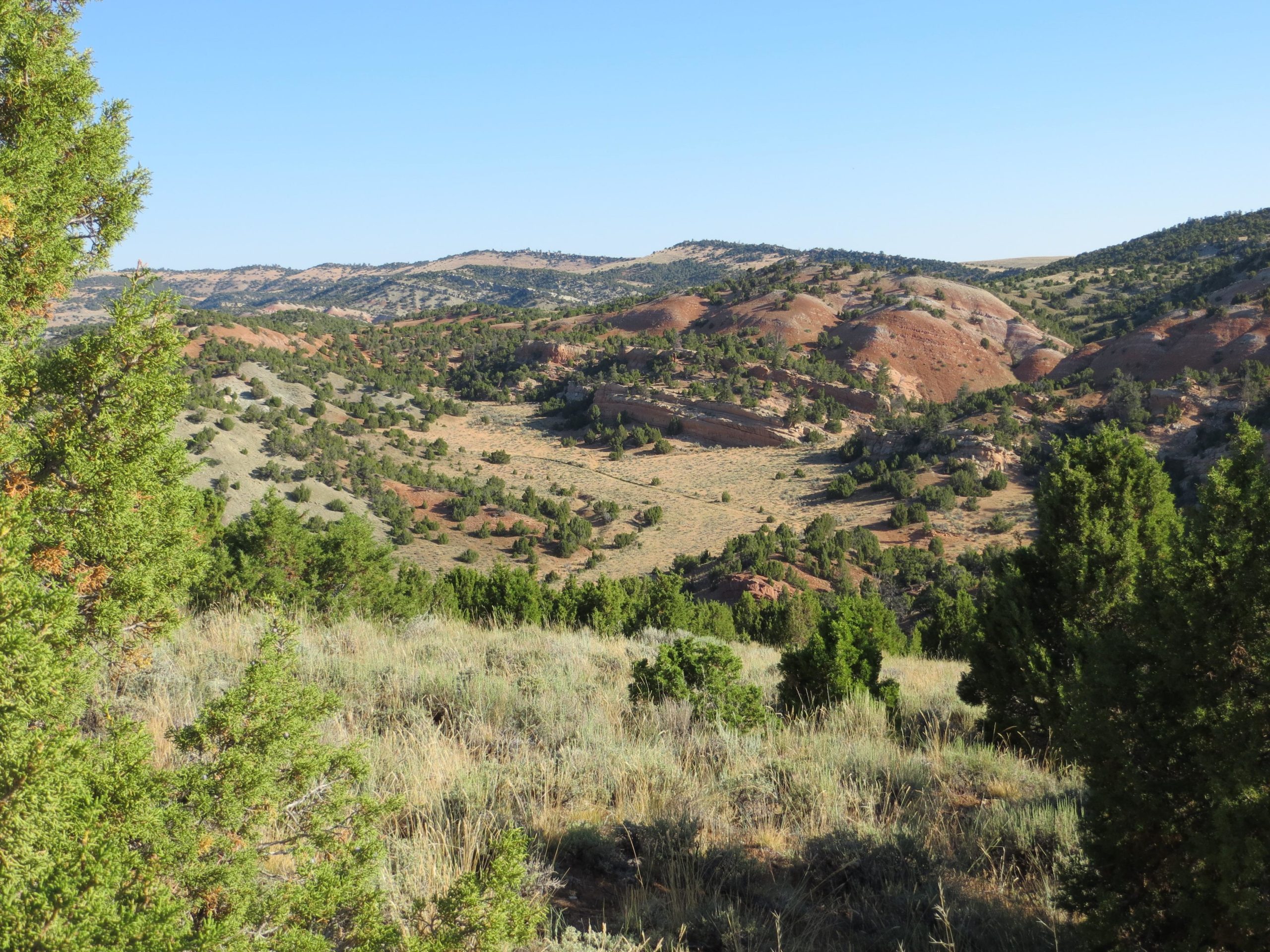 Expansive view of a rocky landscape with rolling hills, dotted with shrubs and trees under a clear blue sky. The foreground features green vegetation, while the background reveals reddish-brown hills and patches of grassland. Johnny Behind The Rocks mountain bike trail.