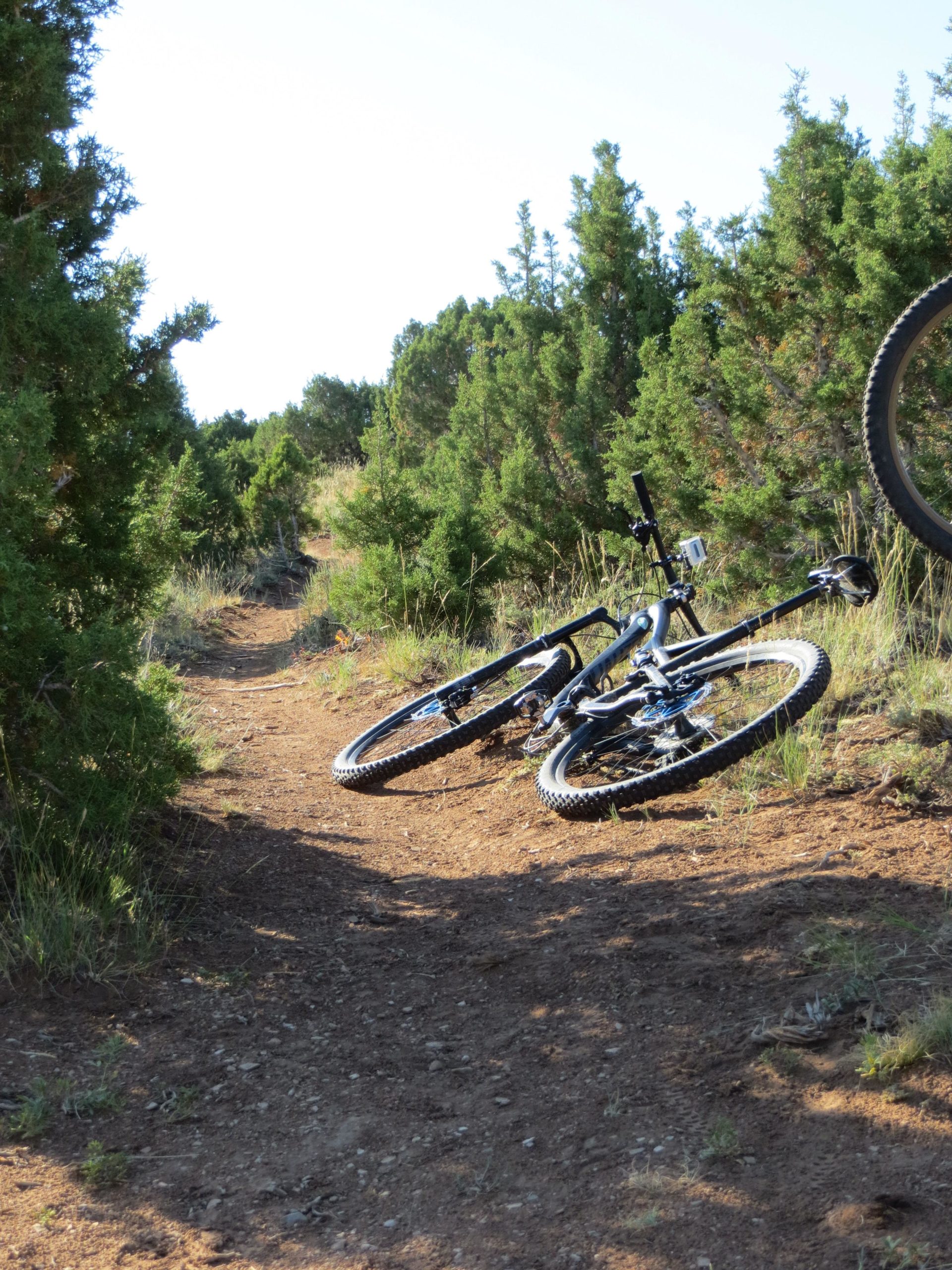 A mountain bike lying on its side on a dirt trail, surrounded by shrubs and trees under a clear blue sky. The path winds through a natural landscape, suggesting a recreational outdoor setting. Johnny Behind The Rocks mountain bike trail.
