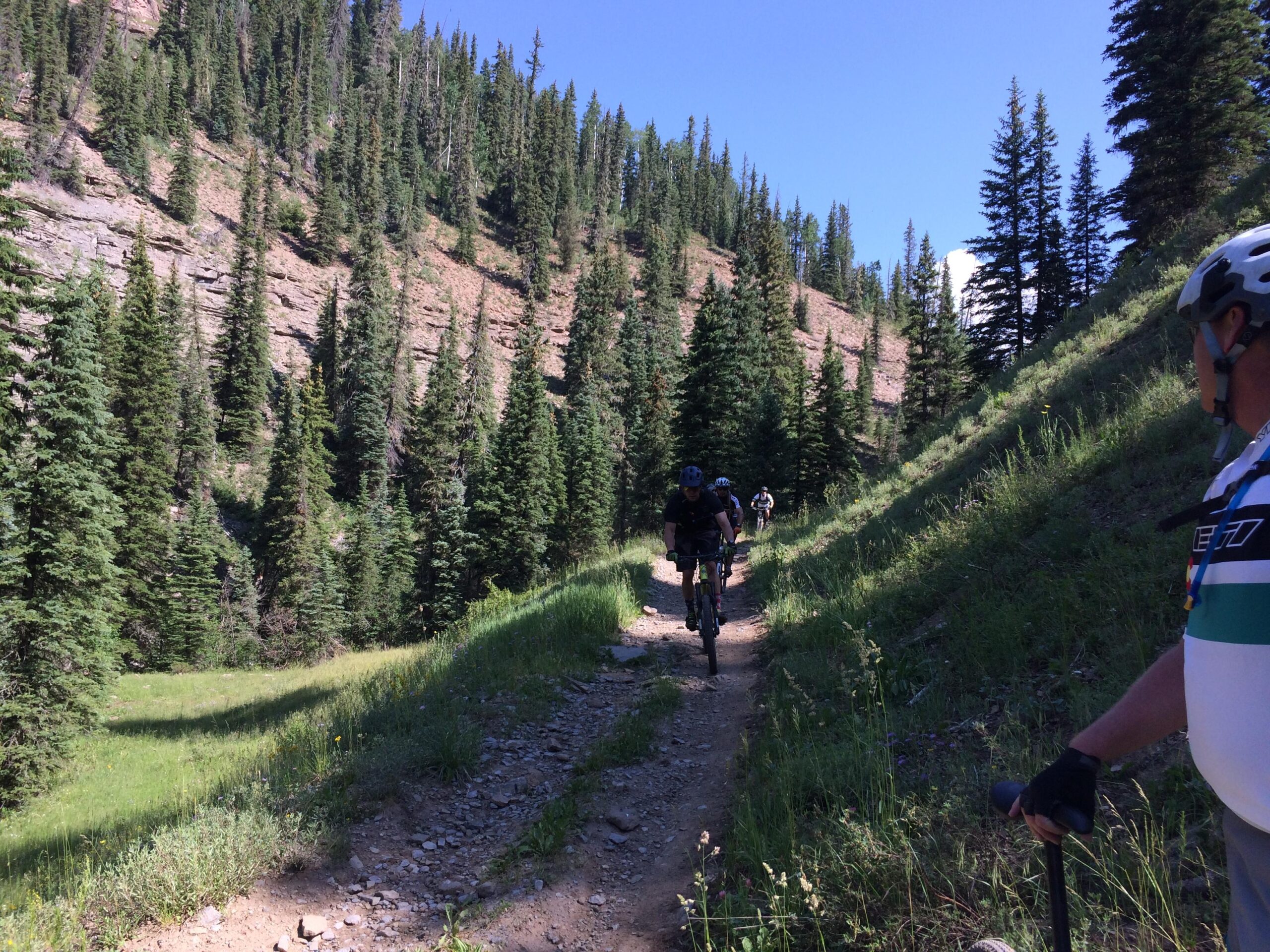 A scenic mountain biking trail surrounded by dense evergreen trees and rocky terrain. Two cyclists are riding on the dirt path, while another cyclist is visible in the background. The bright blue sky overhead suggests a clear, sunny day. Hermosa Creek Trail mountain bike trail.