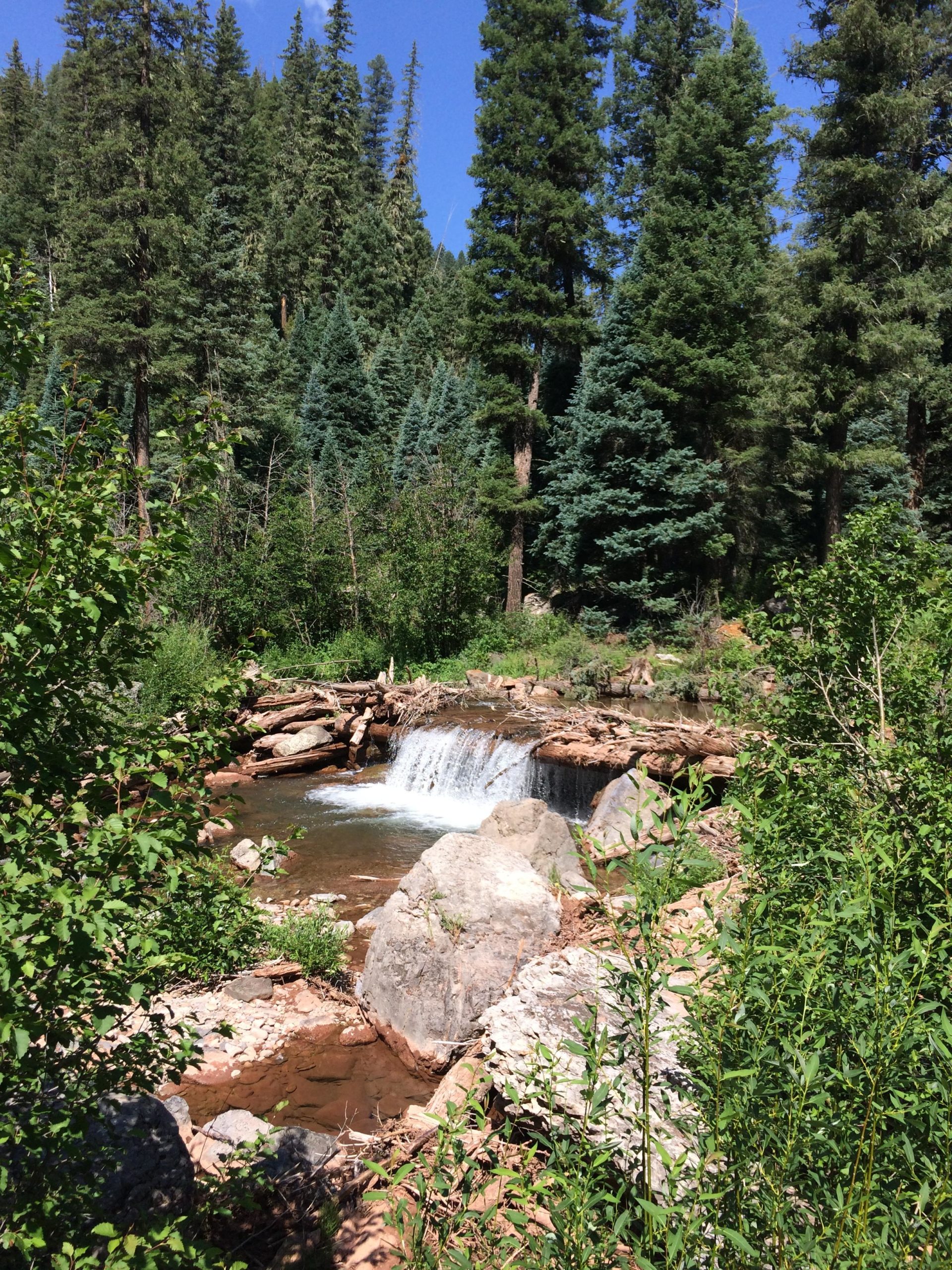 A serene natural landscape featuring a small waterfall cascading over rocks into a clear pool, surrounded by lush green vegetation and tall evergreen trees under a bright blue sky. Hermosa Creek Trail mountain bike trail.