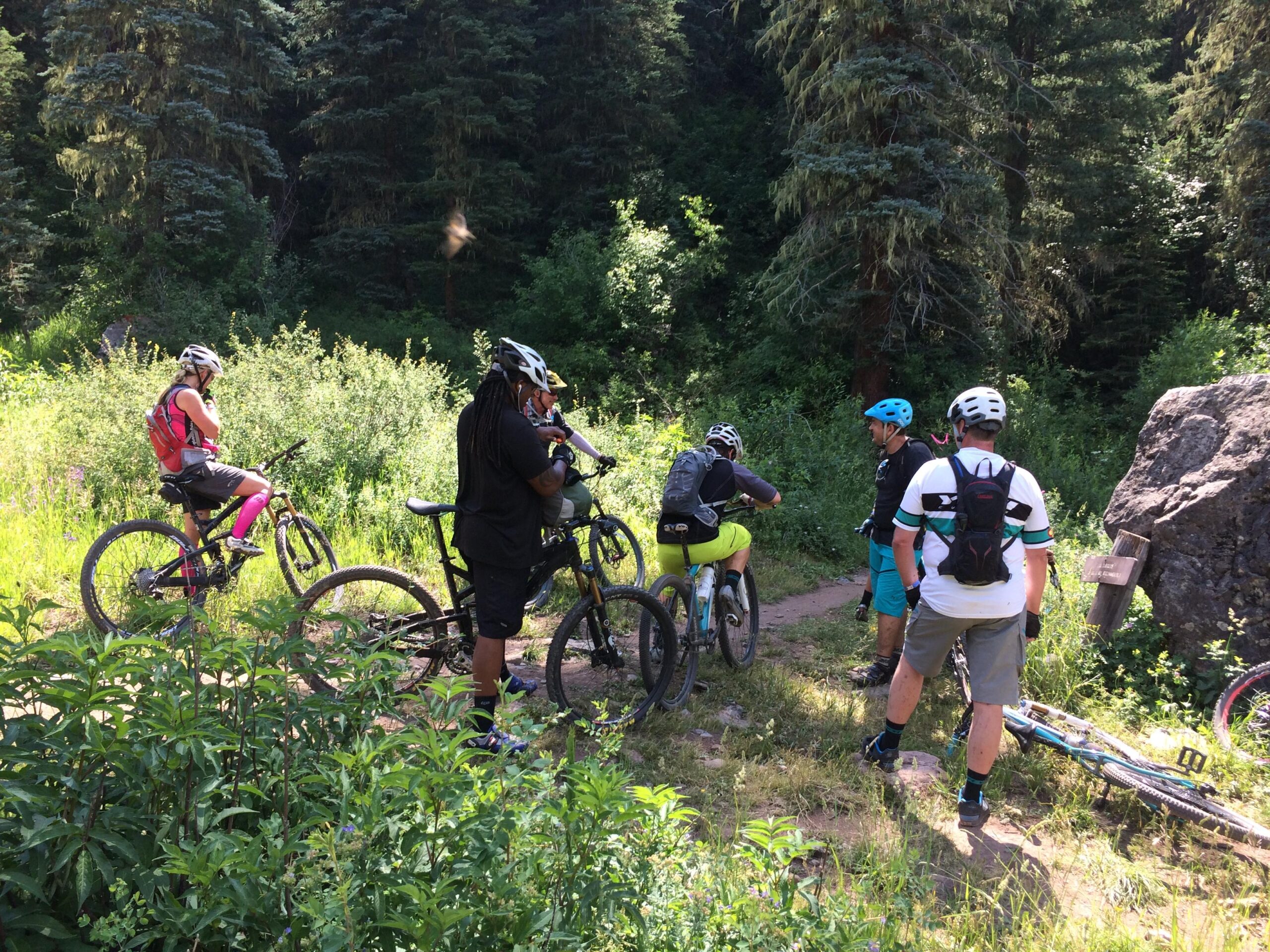 A group of six mountain bikers gathered on a forest trail surrounded by lush greenery. They are discussing the route ahead while leaning on their bikes. Sunlight filters through the trees, creating a bright and vibrant outdoor scene. Hermosa Creek Trail mountain bike trail.
