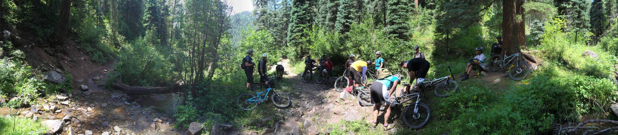 A panoramic view of a group of mountain bikers gathered near a stream in a lush, green forest. The riders, wearing helmets and biking gear, are taking a break beside their bicycles, surrounded by trees and rocky terrain. Sunlight filters through the foliage, creating a vibrant and peaceful outdoor scene. Hermosa Creek Trail mountain bike trail.