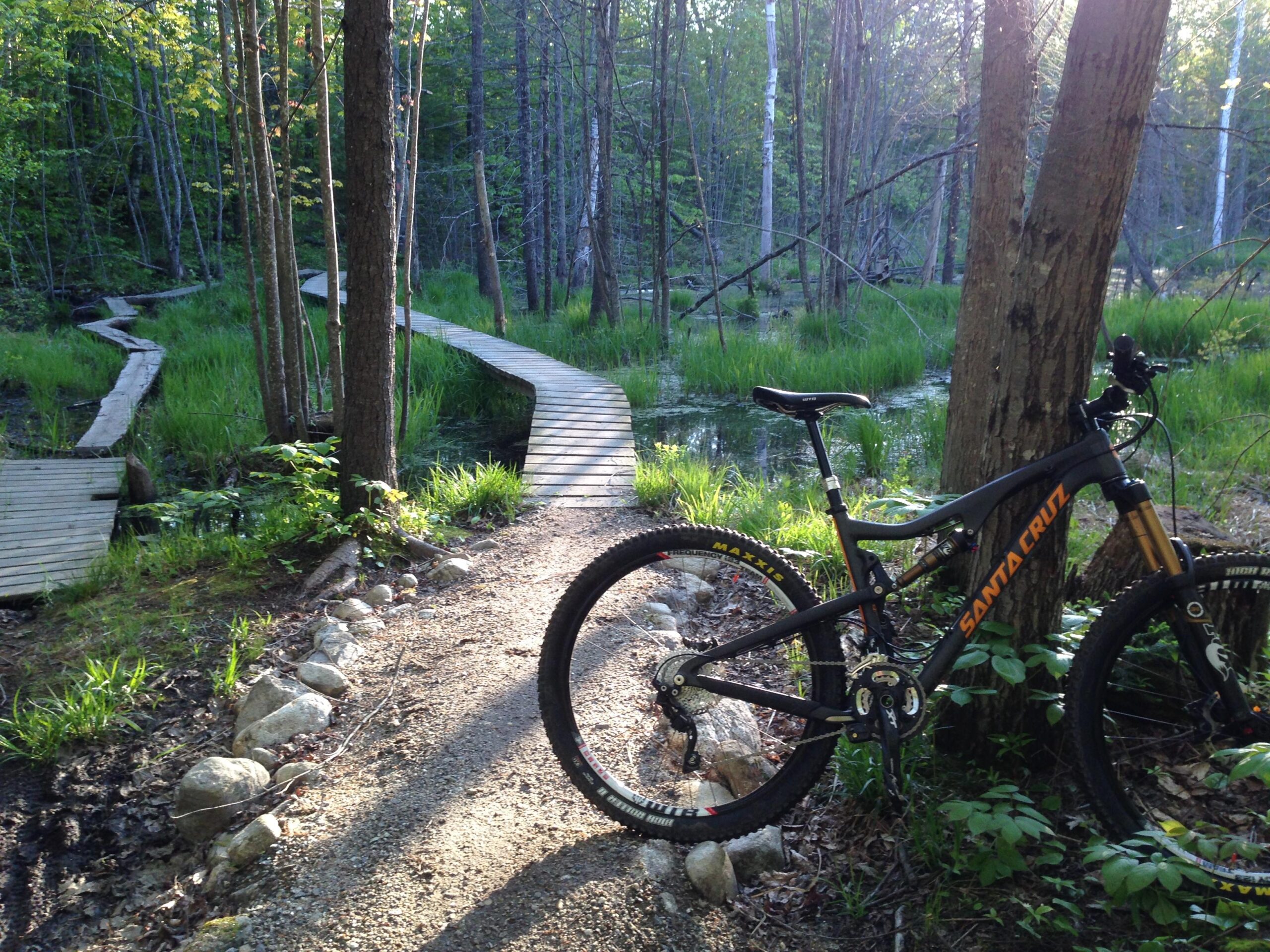 Santa Cruz Bronson: A mountain bike rests on a gravel path with a wooden boardwalk winding through a lush green forest. Sunlight filters through the trees, illuminating the scene. The path leads into a marshy area filled with tall grass and standing water.