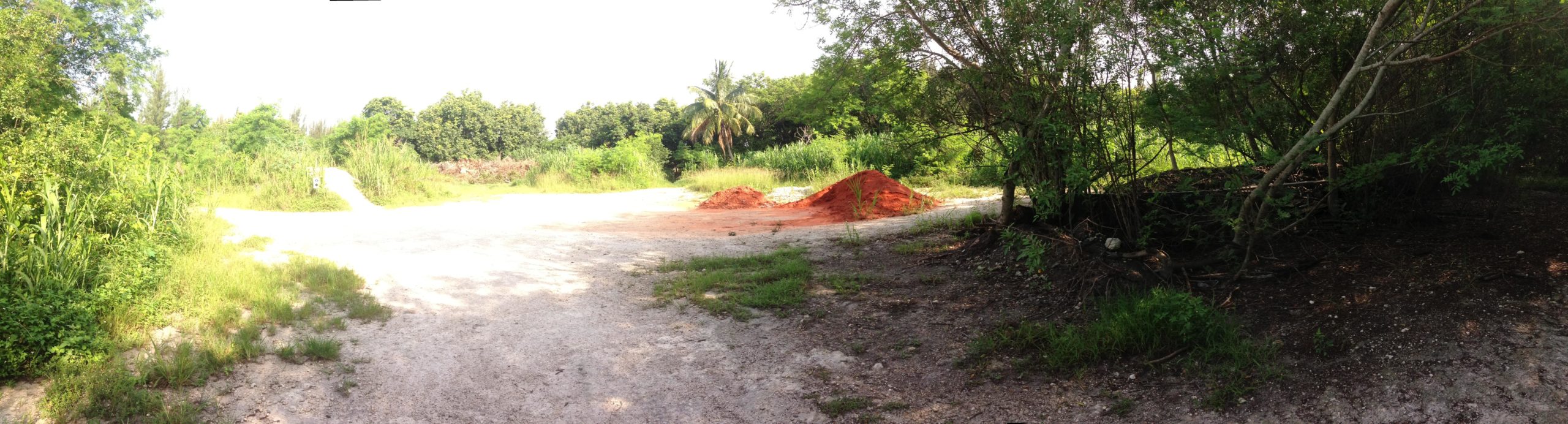 A panoramic view of an open, undeveloped outdoor area. The scene features patches of orange dirt piles surrounded by lush greenery, including tall grass and various trees. A dirt path leads through the landscape, with sunlight filtering in from above, creating a bright and natural ambiance. Markham Park mountain bike trail.