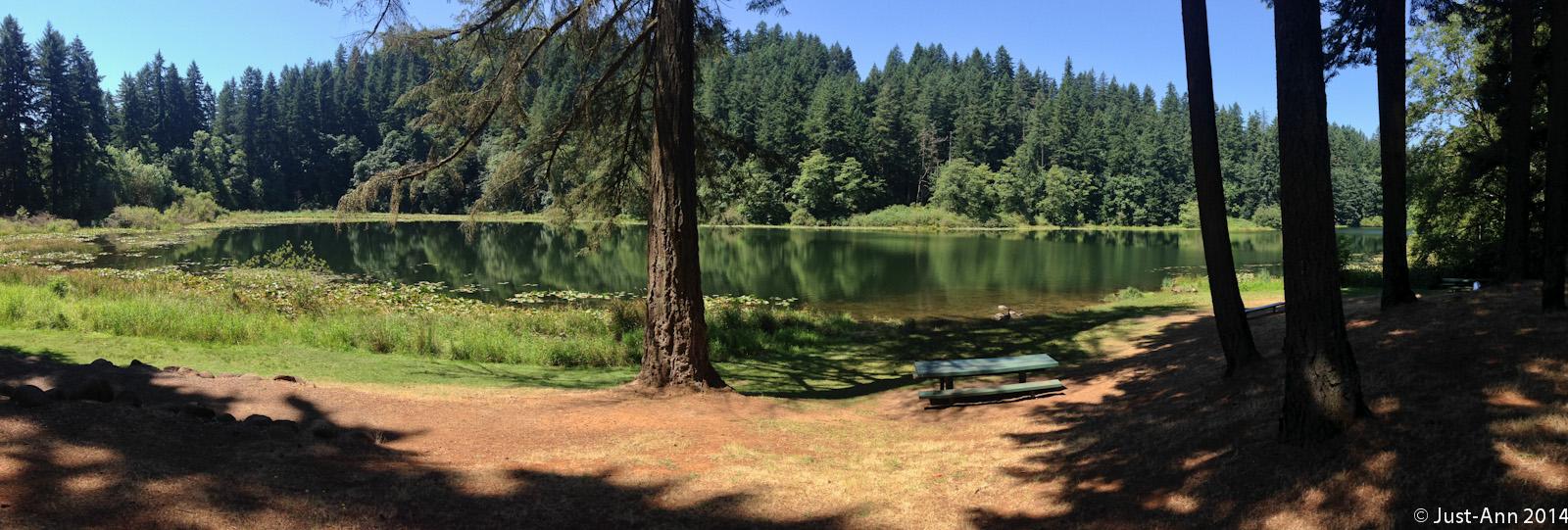 A serene panorama of a tranquil lake surrounded by lush green trees under a clear blue sky. In the foreground, there is a grassy area with a picnic table, and lily pads can be seen floating on the water's surface, reflecting the surrounding greenery. Round Lake mountain bike trail.