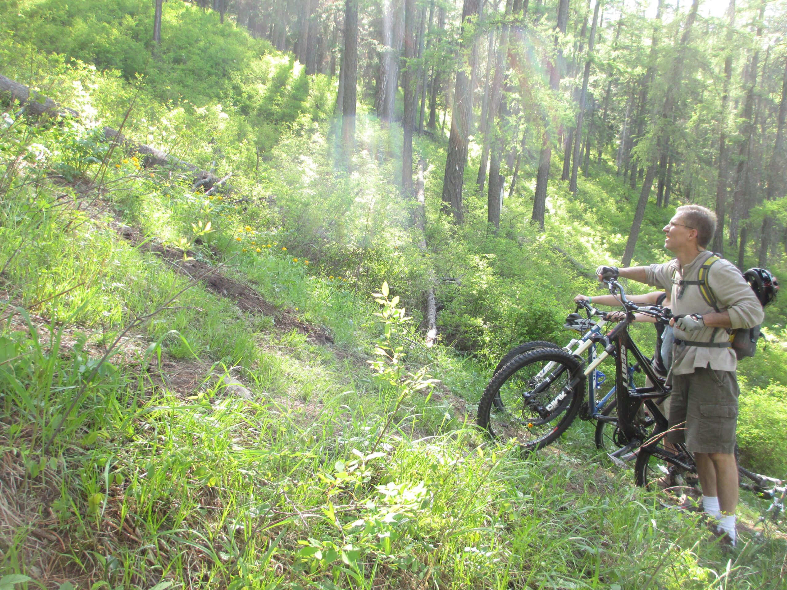 A person stands on a grassy incline in a forest, holding two mountain bicycles. Sunlight filters through the trees, illuminating the lush greenery around them. The individual appears to be looking ahead, possibly contemplating the next part of the trail. Zaisan Chutes mountain bike trail.
