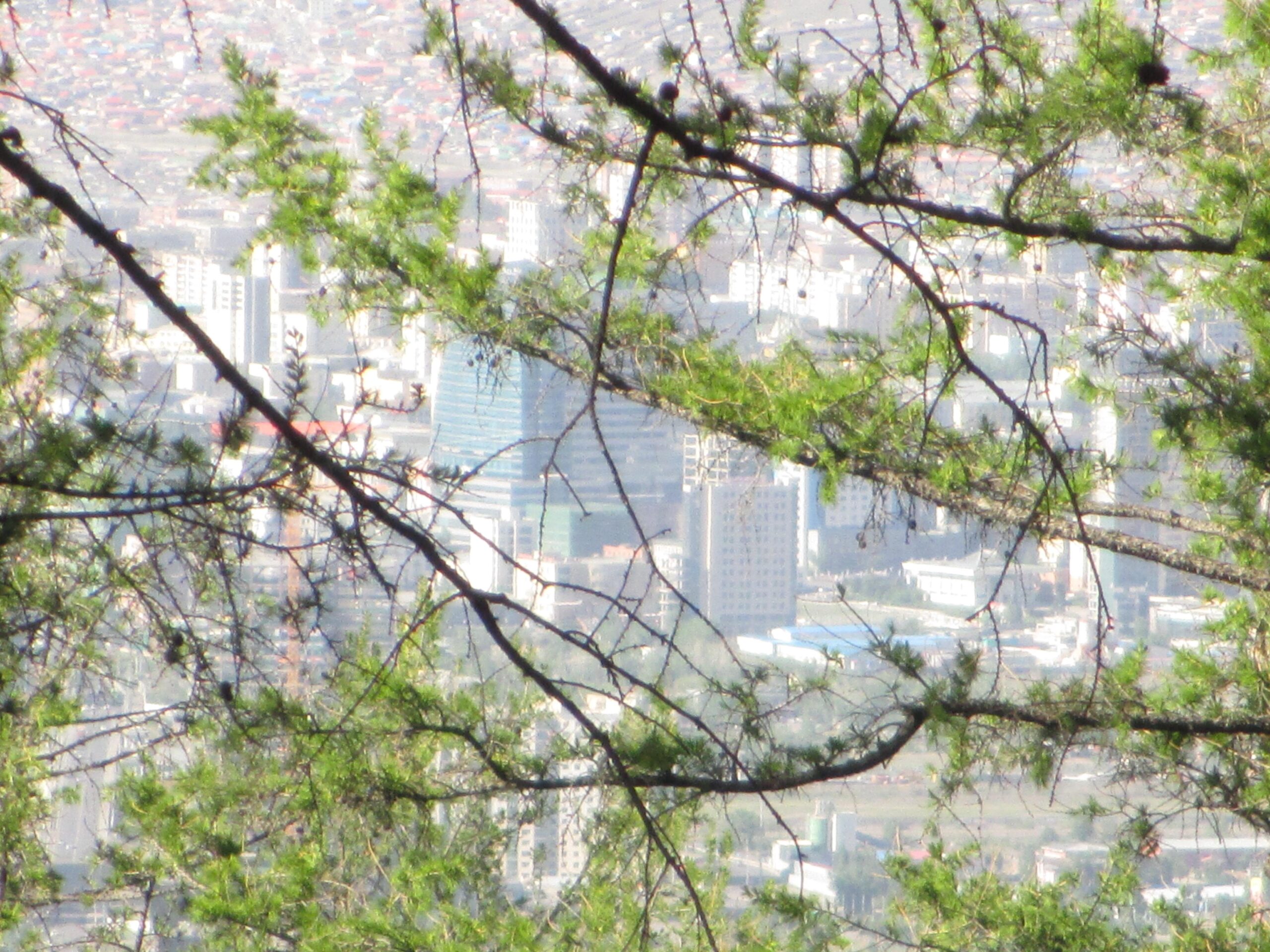 A view of a cityscape partially obscured by green tree branches, showing a mix of modern buildings and structures in the background. Zaisan Chutes mountain bike trail.