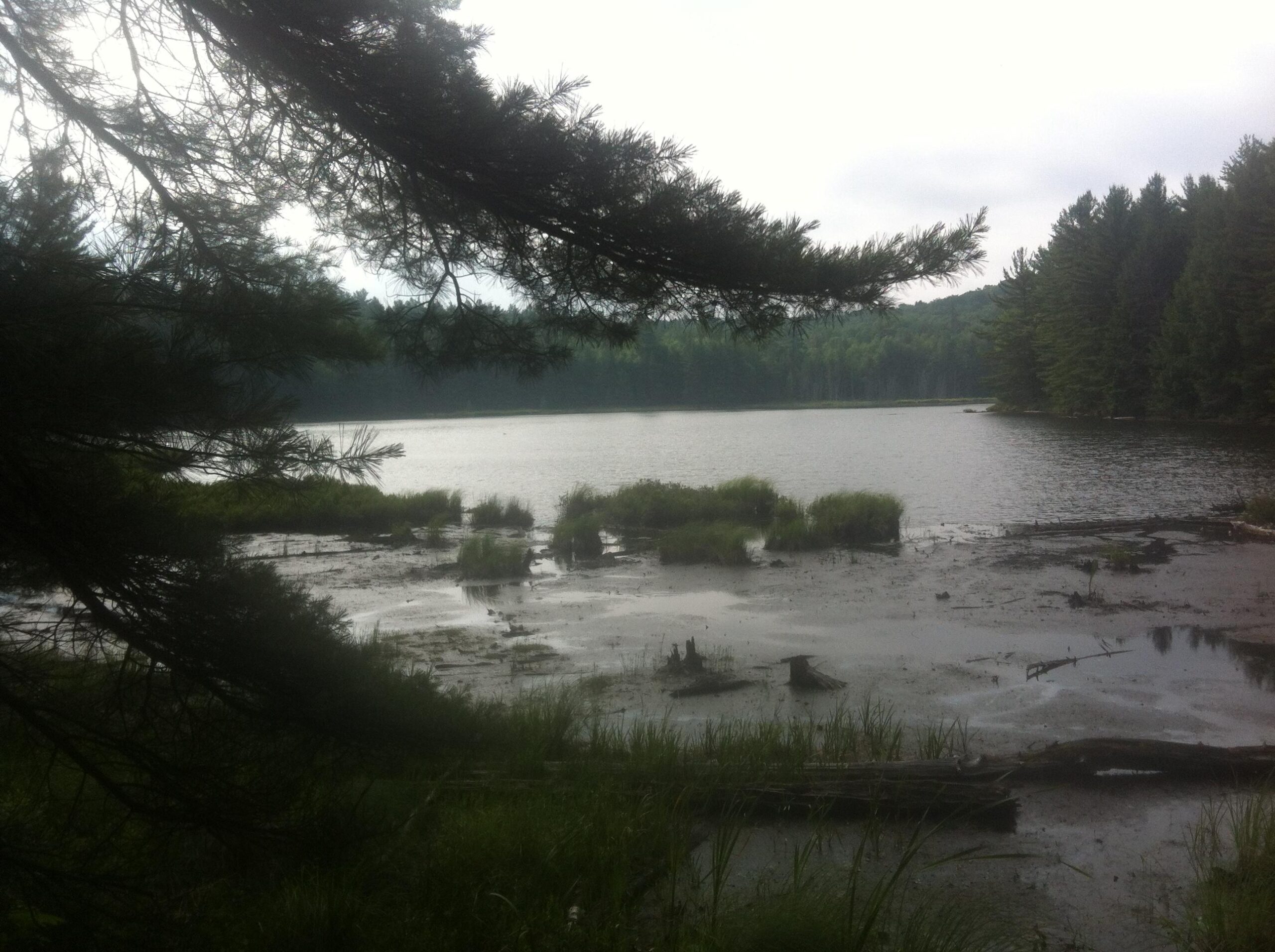 A tranquil lake scene surrounded by lush greenery, with a cloudy sky overhead. In the foreground, patches of grass and exposed mud are visible along the water's edge, while trees line the background, creating a serene, natural setting. Shabomeka Legpower Pathfinders mountain bike trail.