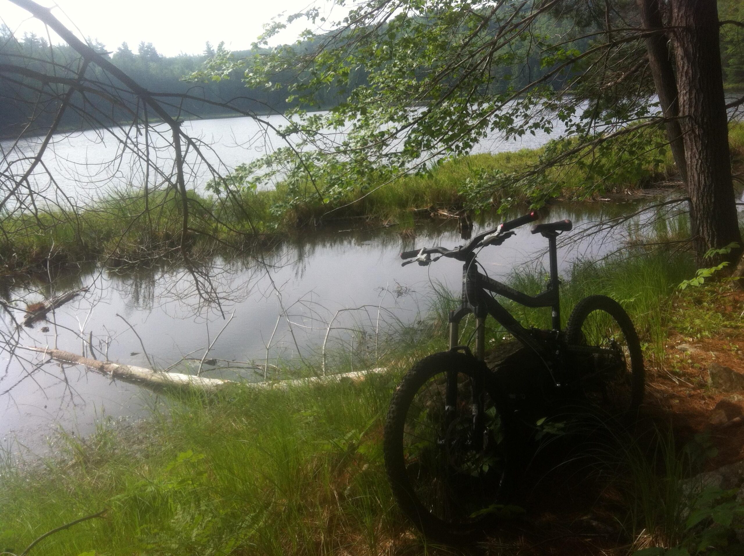 A mountain bike rests on the grassy bank of a calm lake, surrounded by trees and foliage. The water reflects the greenery, creating a serene outdoor scene. Shabomeka Legpower Pathfinders mountain bike trail.