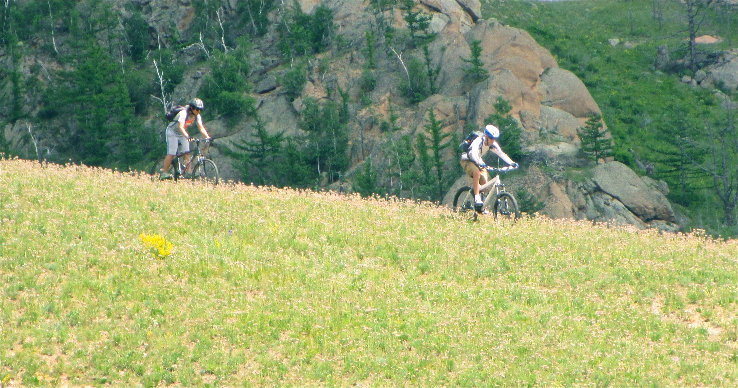Two mountain bikers riding on a grassy hillside, surrounded by rocks and trees, under a clear sky. The landscape features vibrant greenery and patches of wildflowers. Bearded Vulture Pass Trails mountain bike trail.