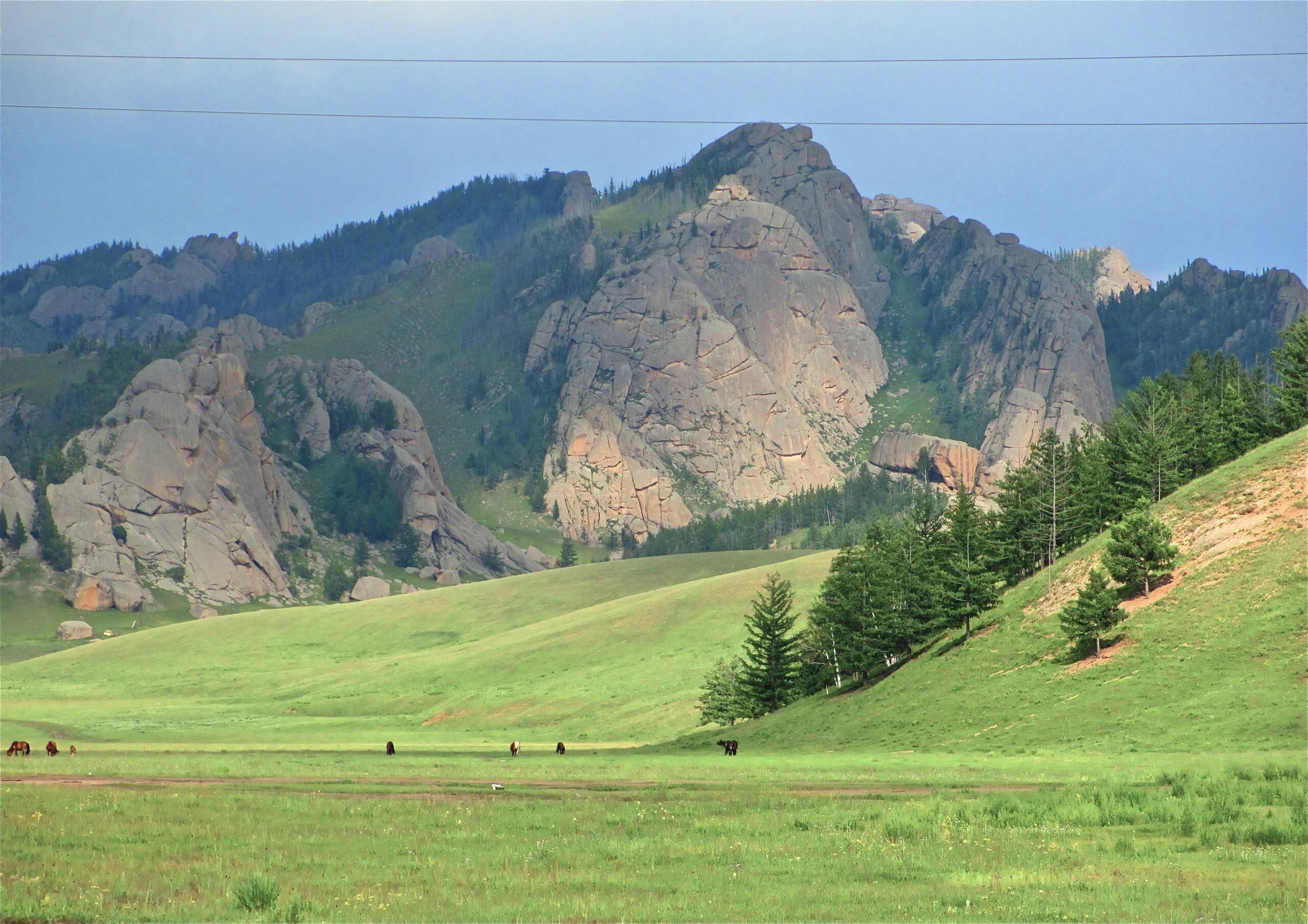 A picturesque landscape featuring rolling green hills with clusters of trees in the foreground, framed by dramatic rocky mountains in the background. A few cattle can be seen grazing peacefully in the open field, under a partly cloudy sky. Bearded Vulture Pass Trails mountain bike trail.