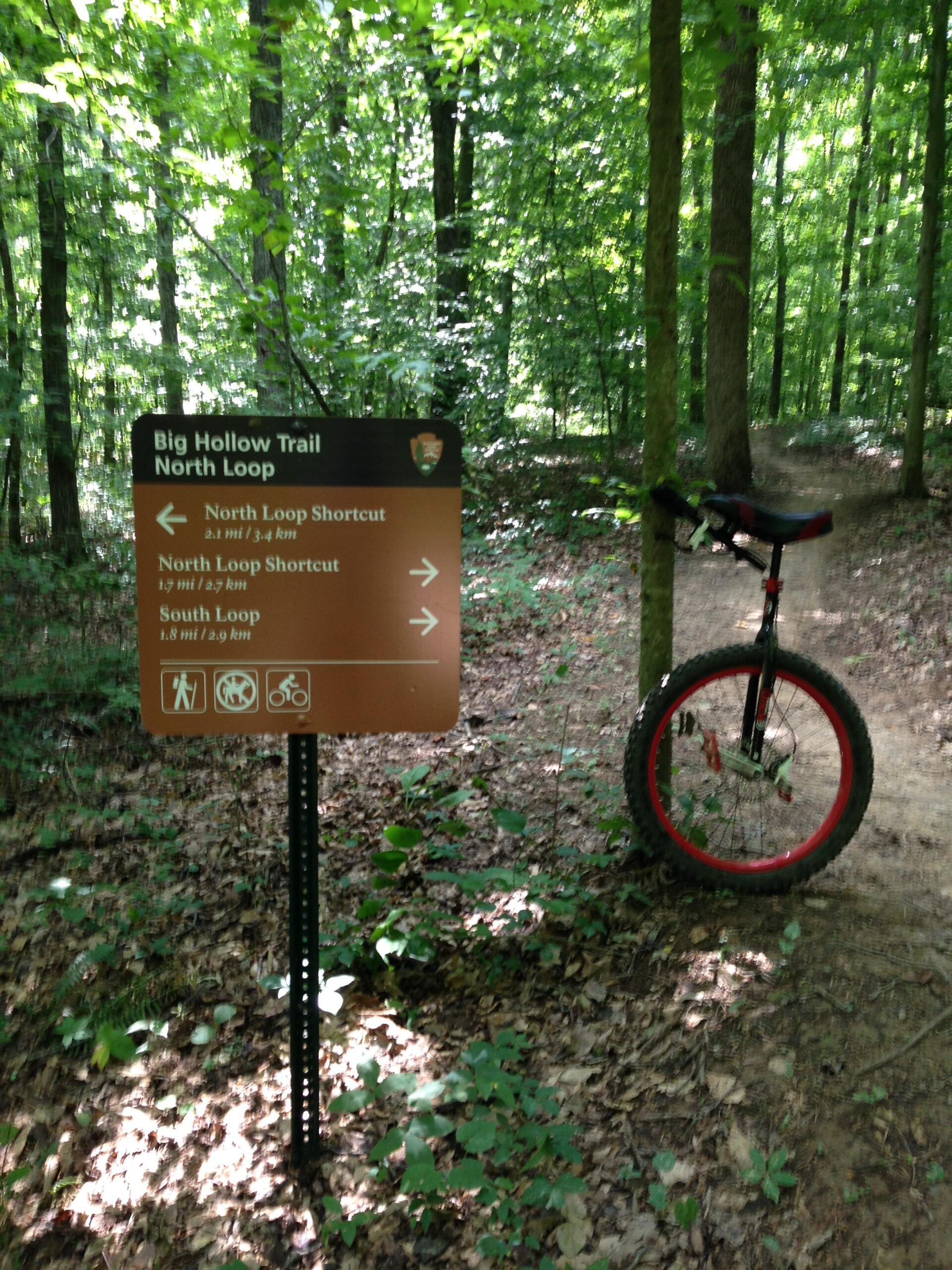 A sign at the Big Hollow Trail North Loop in a wooded area, displaying directions for the North Loop Shortcut and South Loop. A unicycle is leaning against the sign on a dirt path surrounded by green foliage. Big Hollow Trail mountain bike trail.