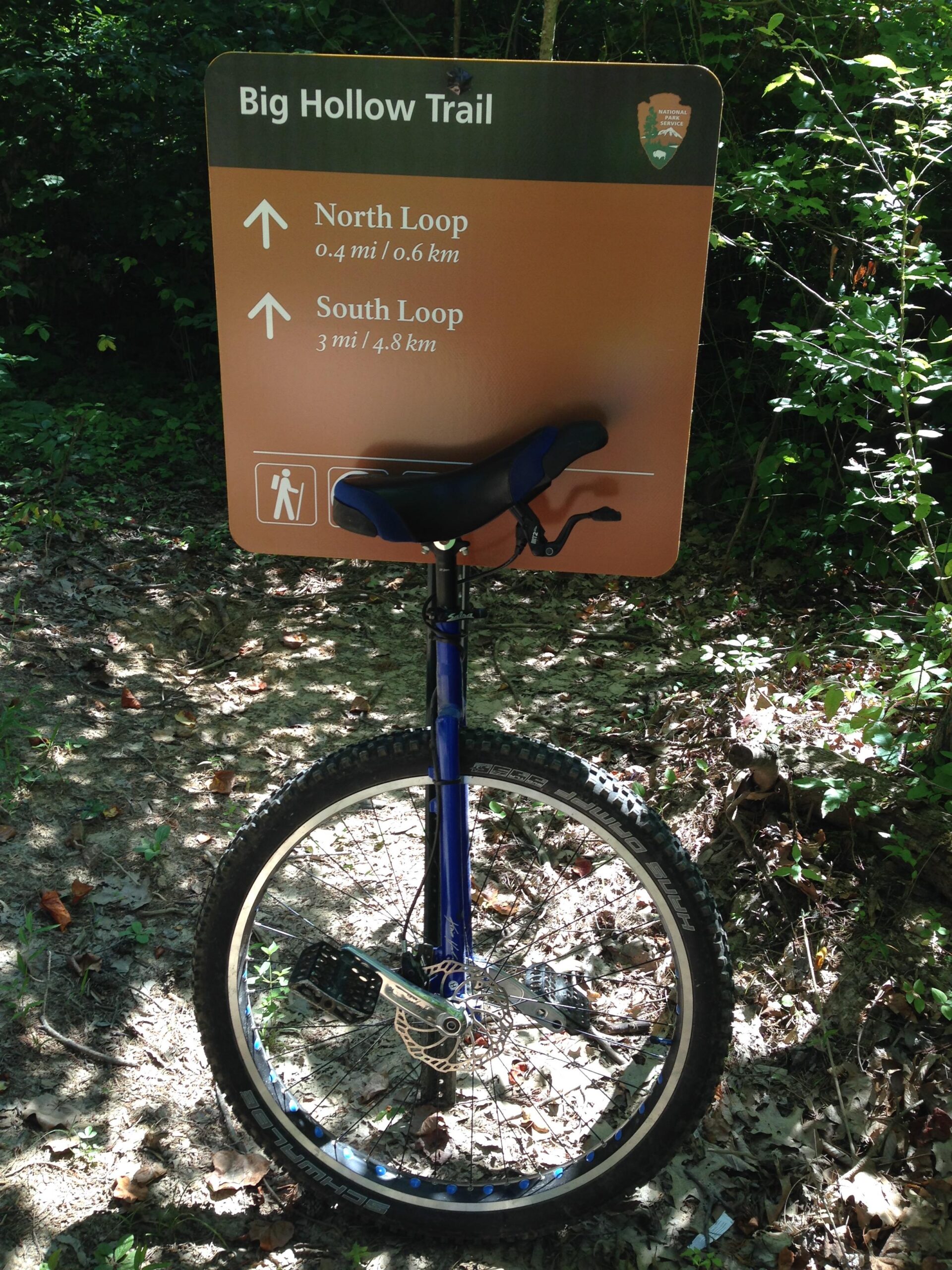 A trail sign for Big Hollow Trail indicating directions to the North Loop (0.4 miles) and South Loop (3 miles), partially obscured by greenery, with a blue unicycle leaning against the sign. Big Hollow Trail mountain bike trail.