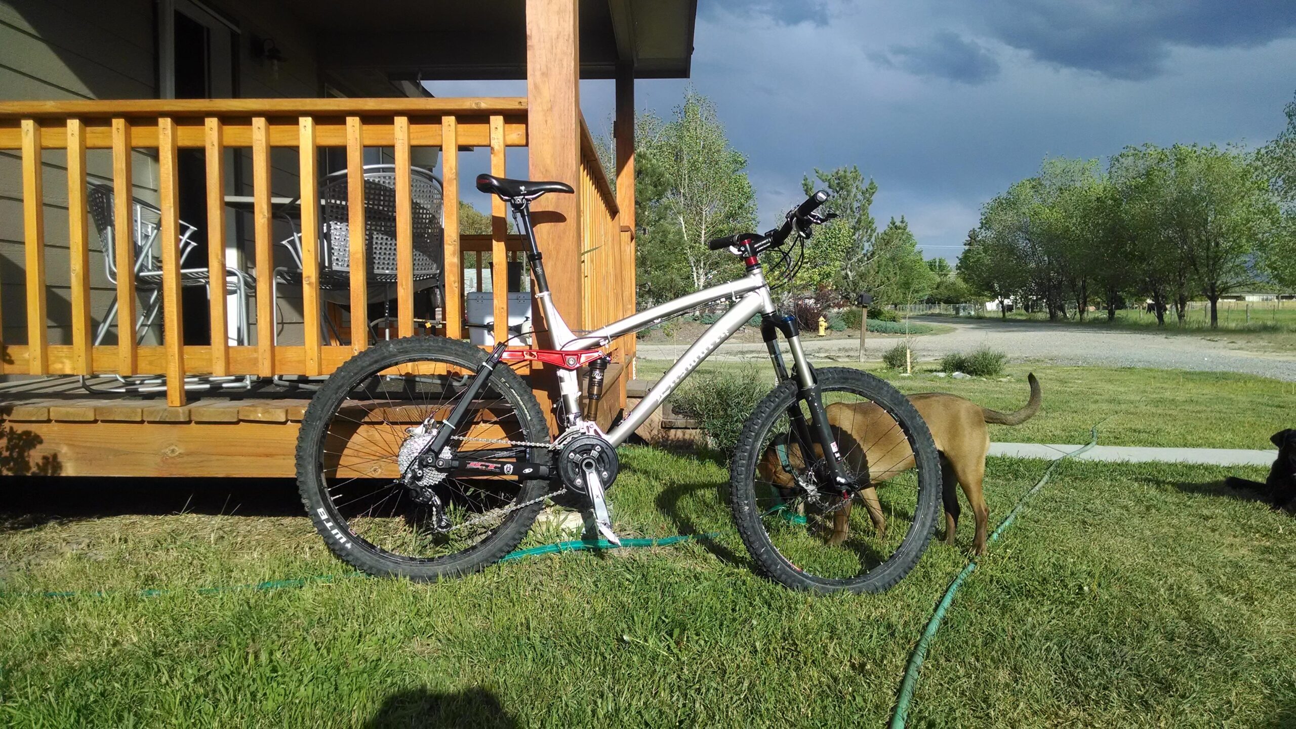 Ellsworth Moment: A mountain bike stands on green grass in front of a wooden deck. Two dogs are nearby, one brown and one black, with the brown dog sniffing the ground. The sky is partly cloudy, creating a bright outdoor setting.