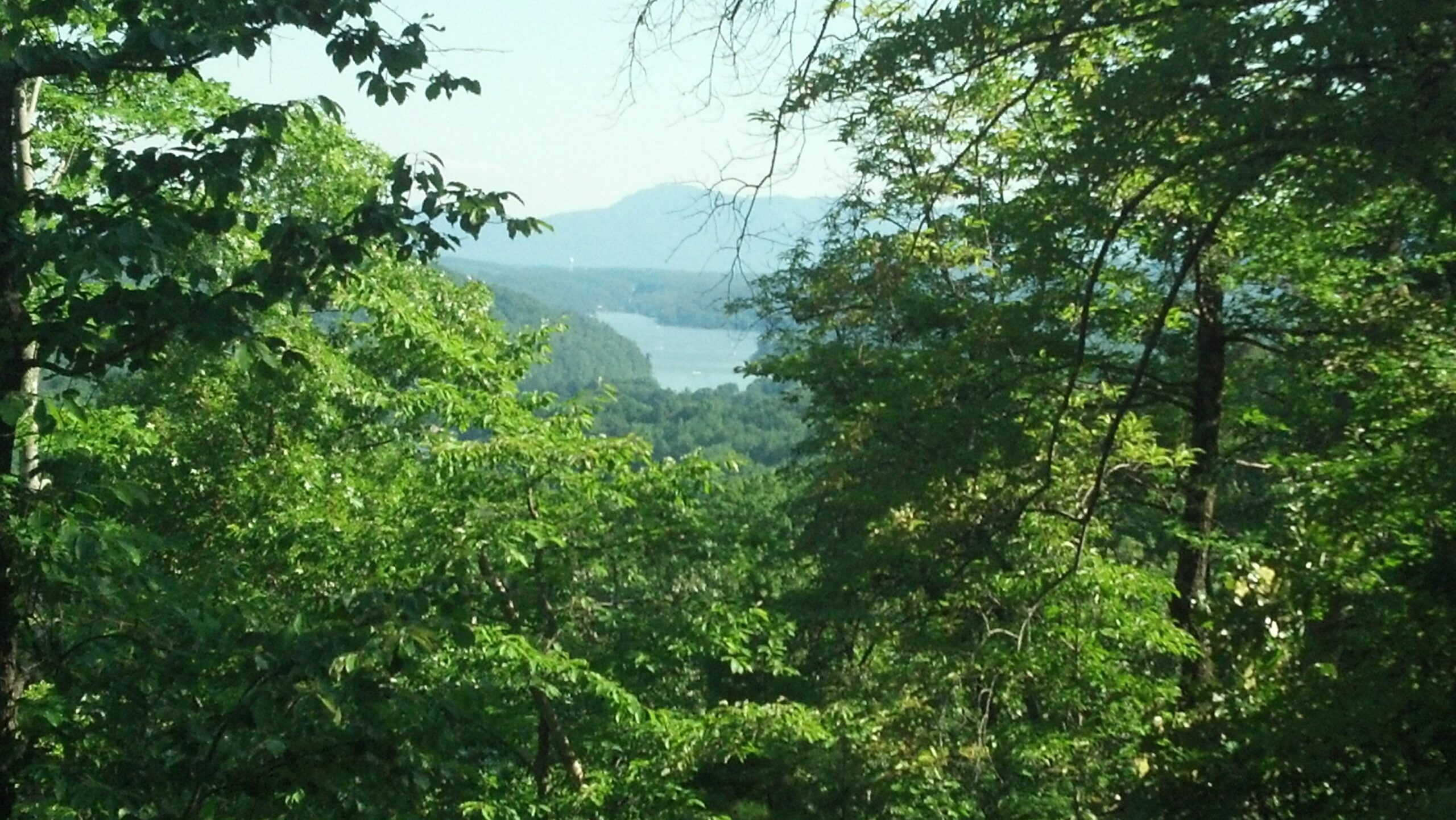 A scenic view of a lush, green landscape, framed by trees, with a river winding through the valley and mountains in the distance under a clear sky. Buffalo Creek Park: The Head, The Heart &amp; The Tail (HHT) mountain bike trail.