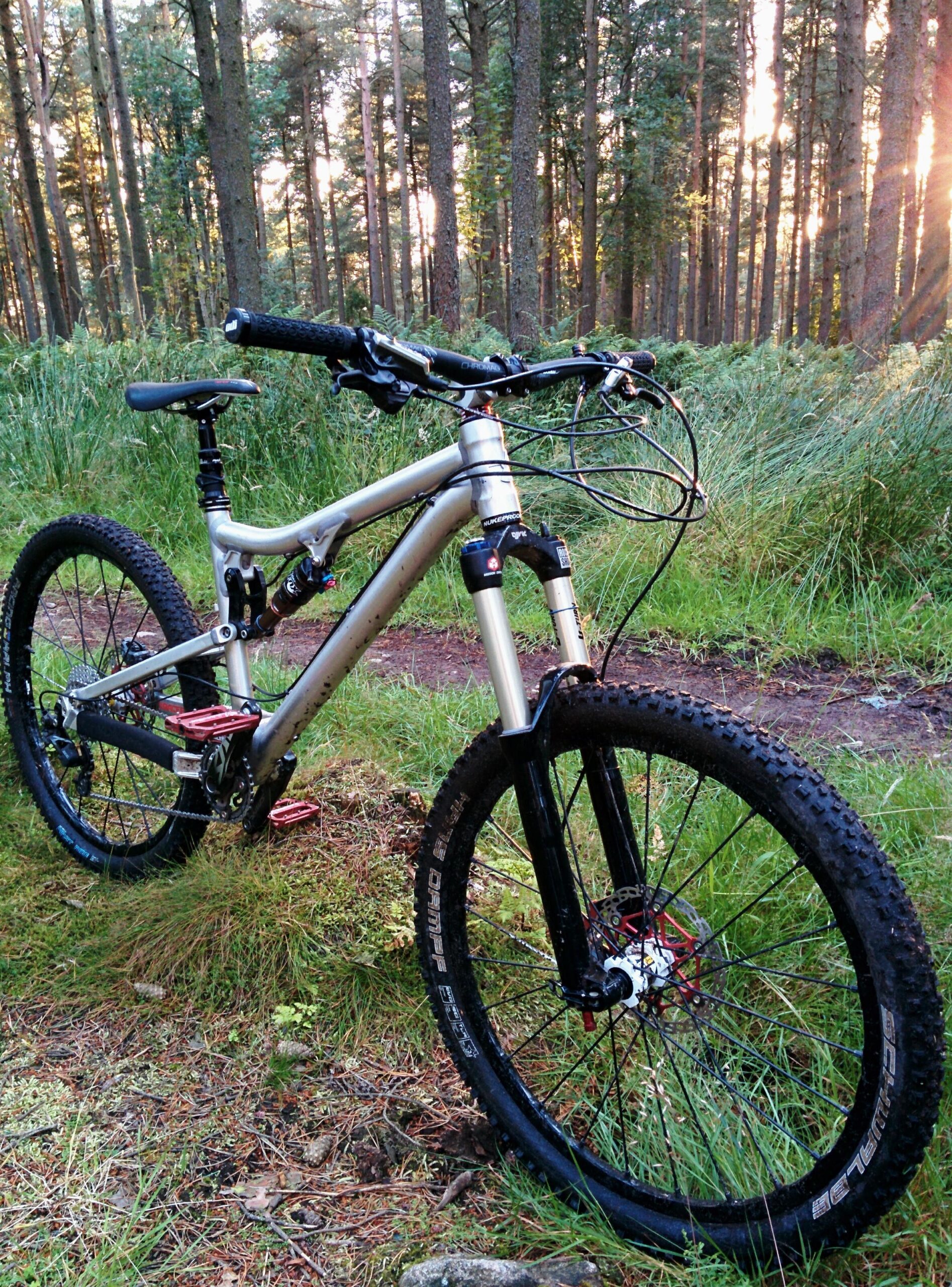 Nukeproof Mega: A mountain bike resting on grass in a wooded area, with sunlight filtering through the trees in the background. The bike features a silver frame, black tires, and prominent suspension forks, showcasing its suitability for off-road trails.