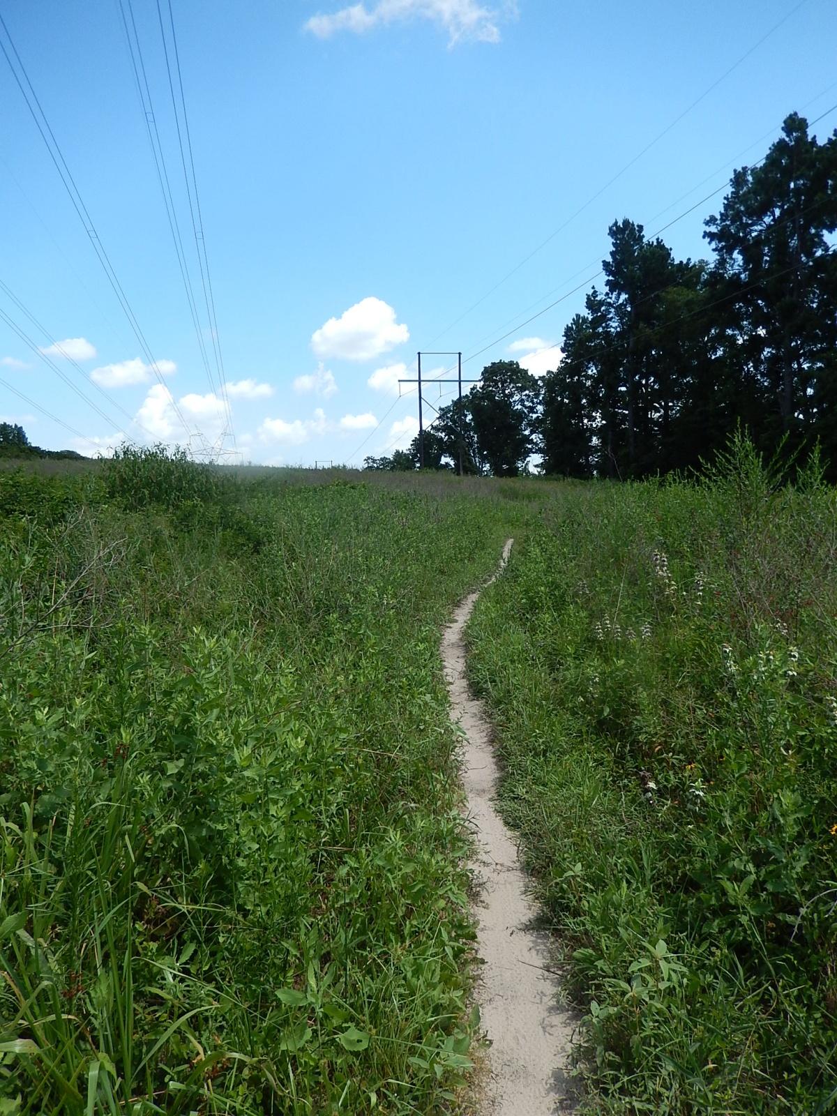 A narrow dirt path winding through tall grass and wildflowers, leading toward a line of power poles under a blue sky with fluffy white clouds. Trees are visible in the background, creating a natural setting. Lindsey Park mountain bike trail.