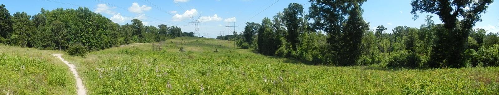 A panoramic view of a grassy field bordered by dense trees under a bright blue sky with fluffy clouds. A dirt path winds through the greenery, leading towards the horizon where power lines are visible in the distance. Lindsey Park mountain bike trail.