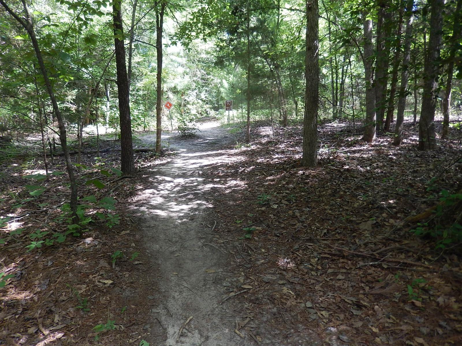 A narrow dirt path winding through a lush green forest, surrounded by tall trees and scattered leaves on the ground. Signs are visible along the trail, hinting at directions or trail information. Sunlight filters through the foliage, creating a dappled light effect on the path. Lindsey Park mountain bike trail.