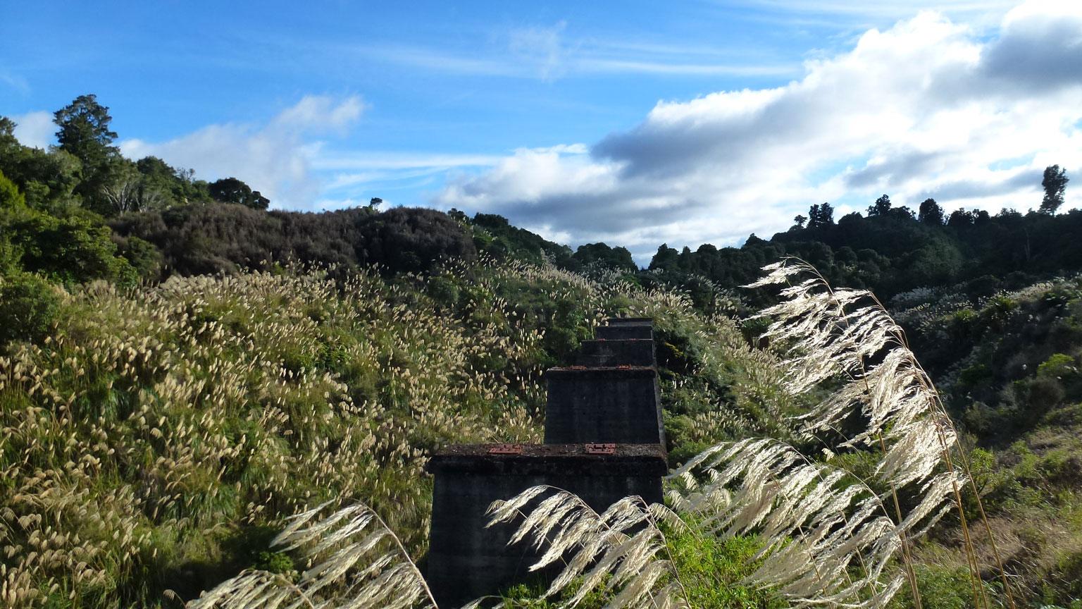 A landscape featuring lush green hills with tall, golden grasses swaying in the wind. In the foreground, a series of weathered stone pillars or foundations are visible, leading into the distance. The sky above is bright blue with scattered clouds, creating a serene and tranquil setting. Old Coach Road mountain bike trail.