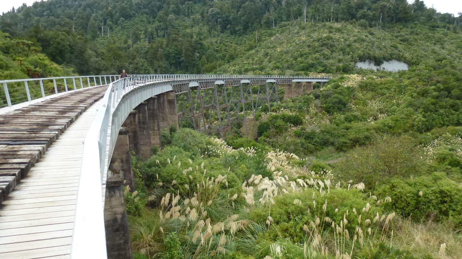 A long, curved pedestrian bridge spanning a lush green valley, surrounded by dense trees and wild grasses. The bridge features a wooden path and a metal railing, with a person walking along it. The landscape is vibrant with various shades of green and patches of flowering plants. Old Coach Road mountain bike trail.