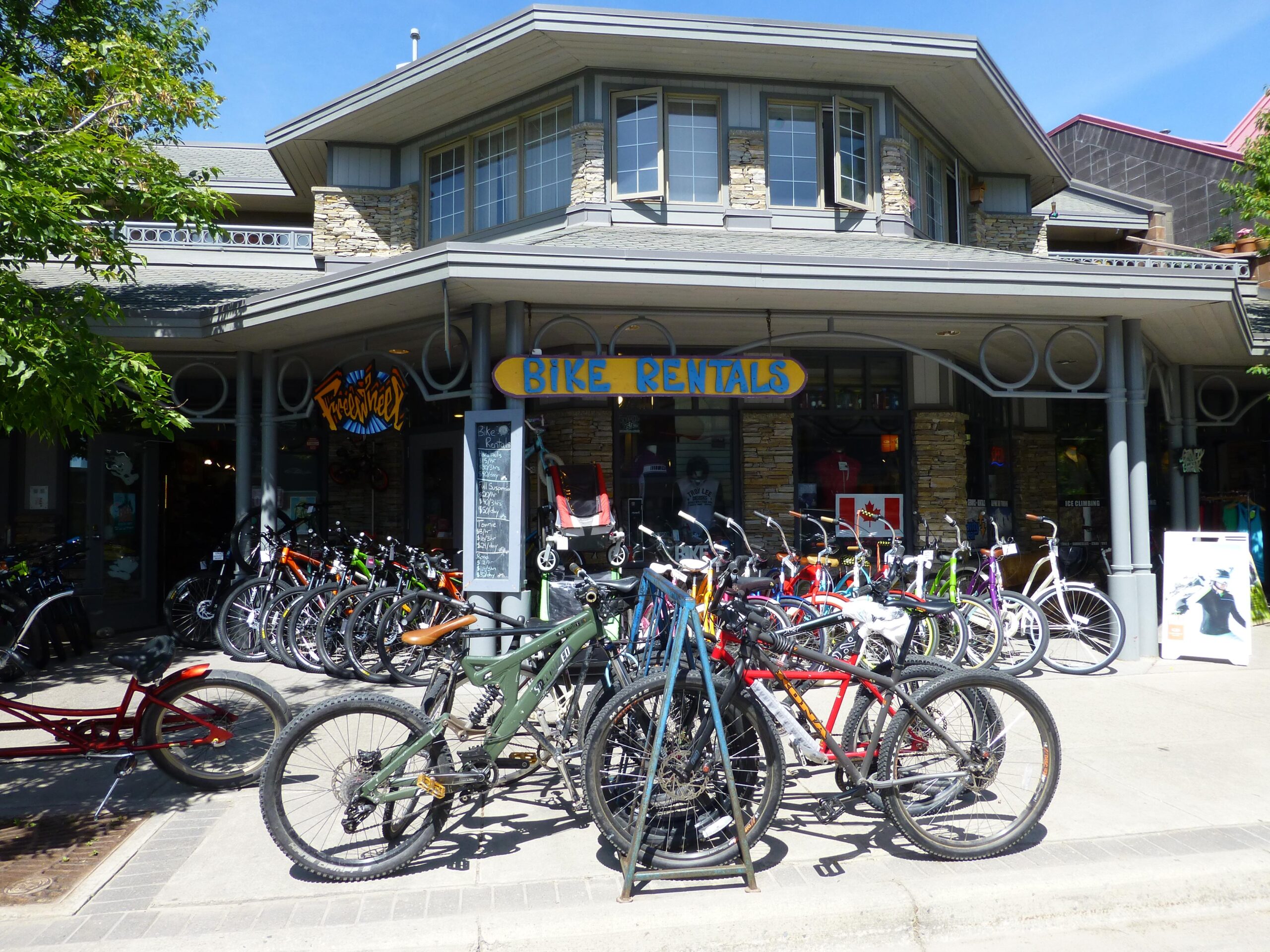 A bike rental storefront featuring a variety of bicycles lined up outside, including mountain bikes and cruisers. The shop has a "Bike Rentals" sign, with a vibrant building design and lush greenery surrounding it.