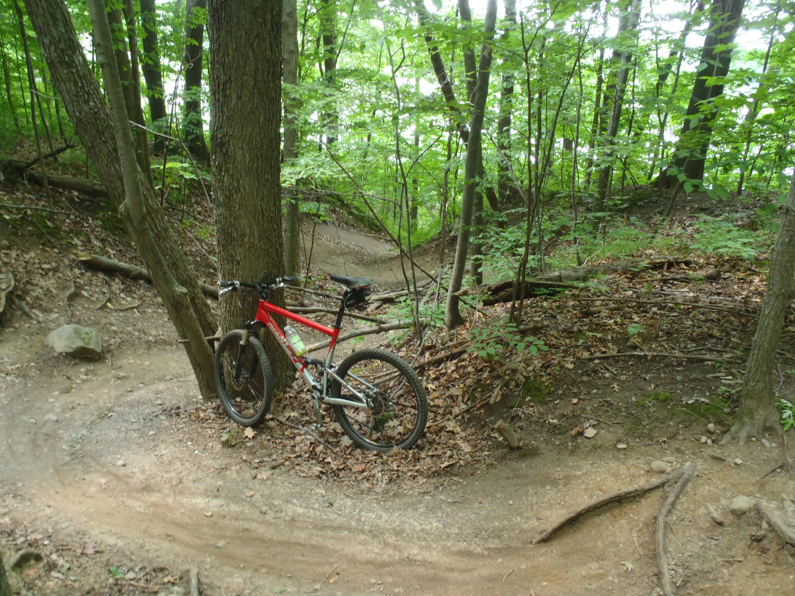 A red mountain bike leaned against a tree on a winding dirt trail surrounded by lush green foliage and other trees in a forest setting. Pontiac Lake mountain bike trail.