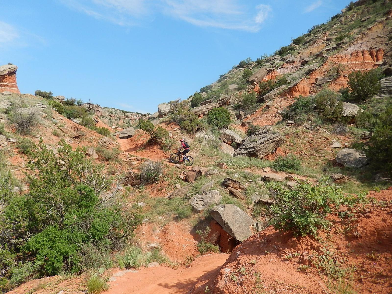 A mountain biker navigates a rugged trail through a vibrant landscape of red earth and rocky outcrops, surrounded by greenery under a clear blue sky. Palo Duro Canyon mountain bike trail.