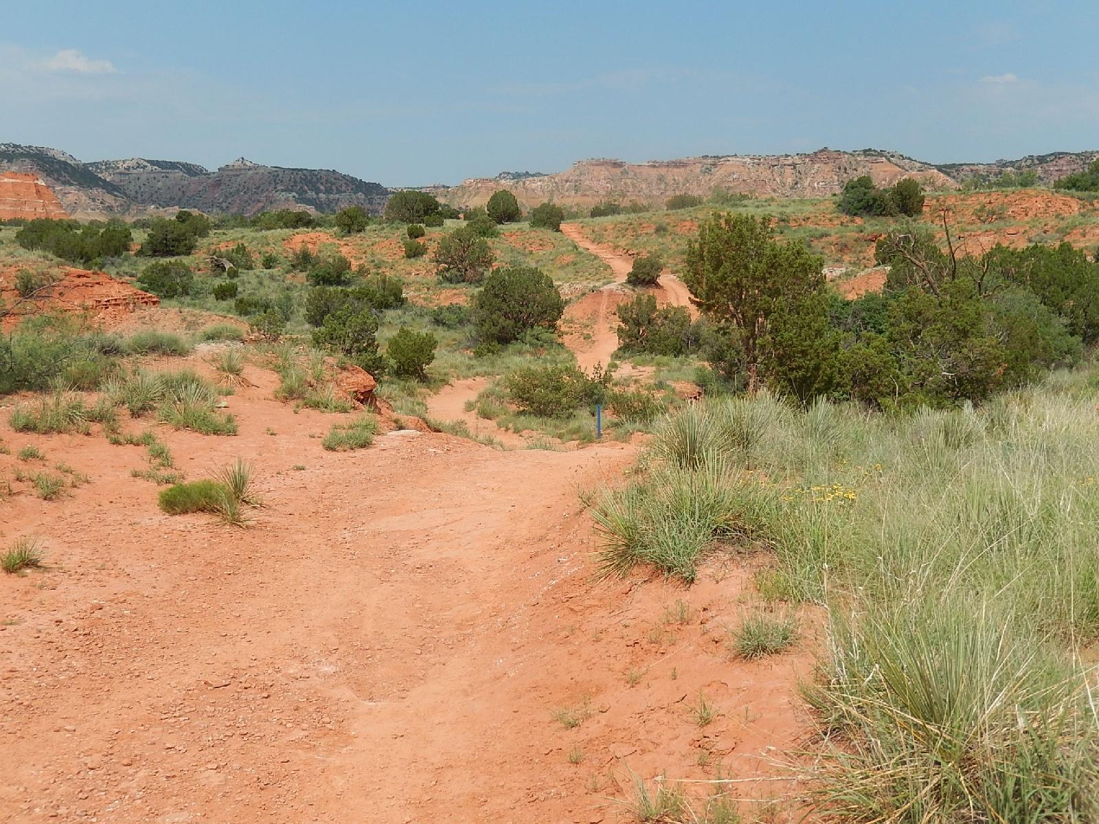 A scenic landscape featuring a winding dirt path leading through a dry, red terrain with sparse greenery and shrubs. In the background, rugged hills and mesas rise against a clear sky. The scene conveys a serene and natural outdoor environment. Palo Duro Canyon mountain bike trail.