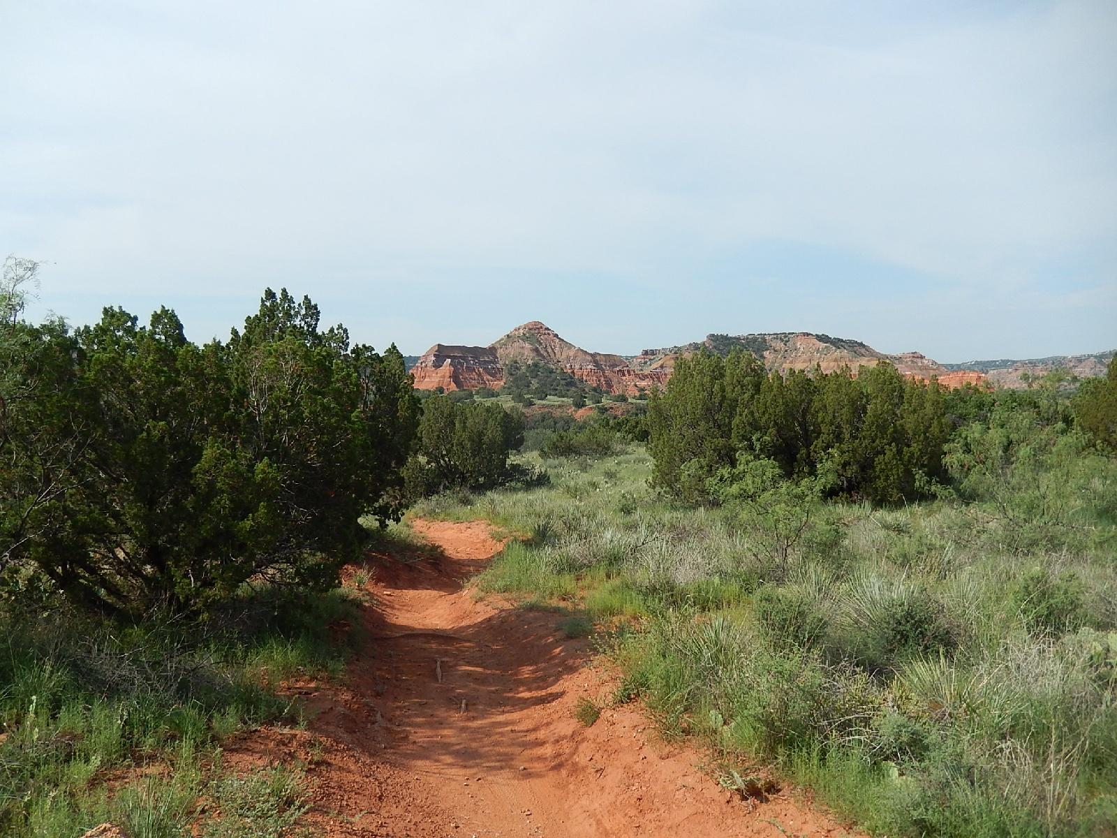 A dusty hiking trail meanders through a verdant landscape, surrounded by shrubbery and grass. In the background, distinct red rock formations rise against a clear blue sky, creating a serene yet dramatic natural scene. Palo Duro Canyon mountain bike trail.