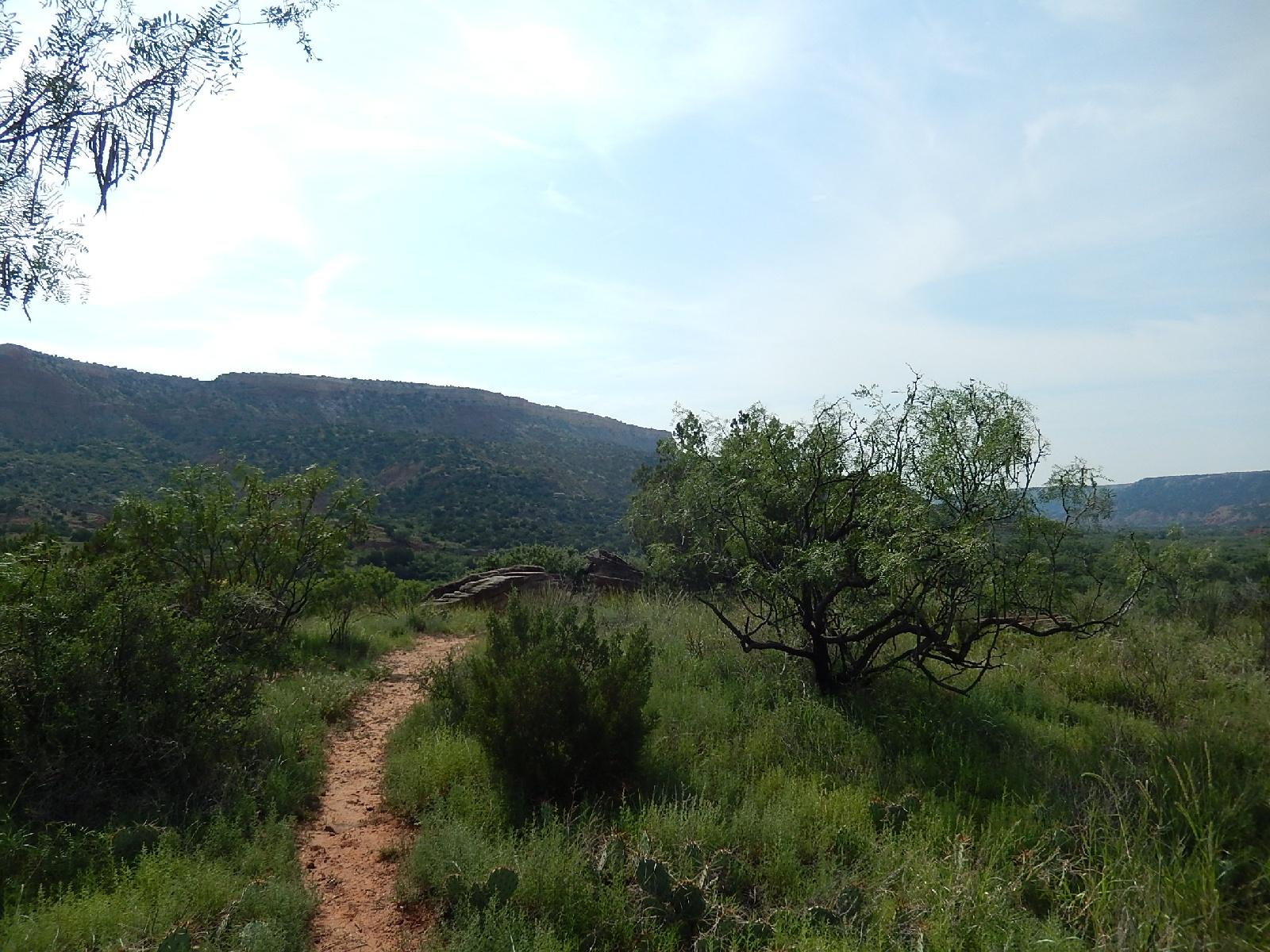 A scenic view of a winding dirt path leading through lush greenery, with a backdrop of rolling hills under a light blue sky. Scrubby trees and various plants line the path, creating a peaceful, natural landscape. Palo Duro Canyon mountain bike trail.