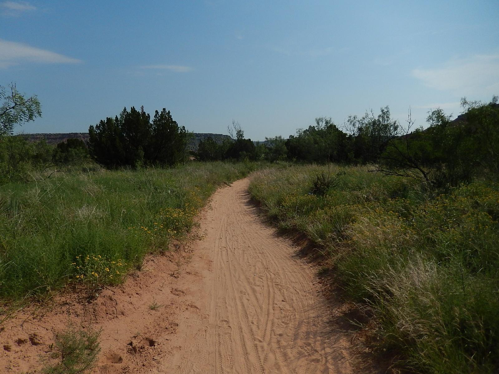 A sandy path winding through a grassy landscape with scattered wildflowers, surrounded by shrubs and trees, under a clear blue sky. Palo Duro Canyon mountain bike trail.