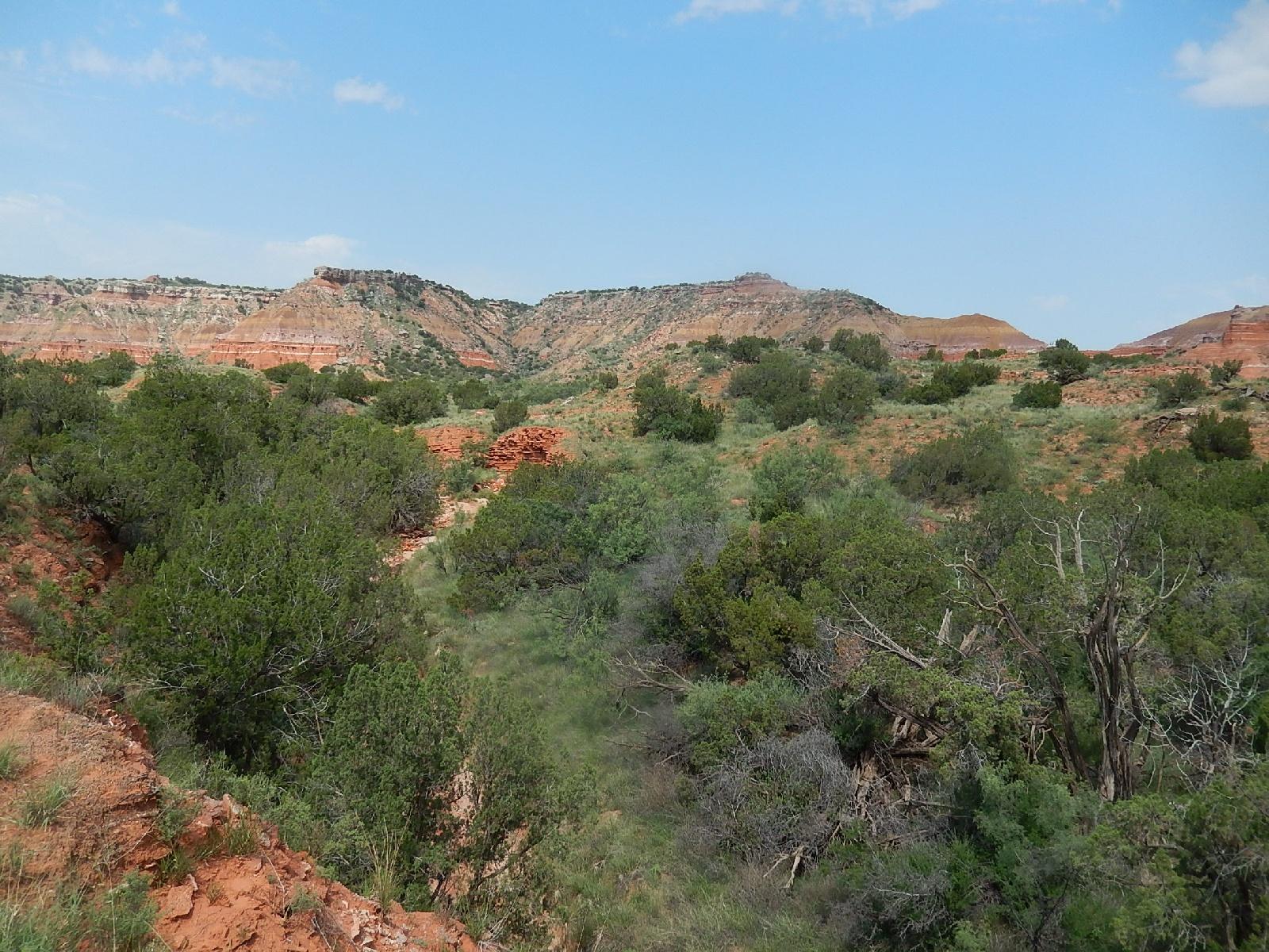 A scenic view of rolling hills and valleys in a semiarid landscape, featuring a mix of green vegetation and reddish-brown rock formations under a blue sky with scattered clouds. Palo Duro Canyon mountain bike trail.