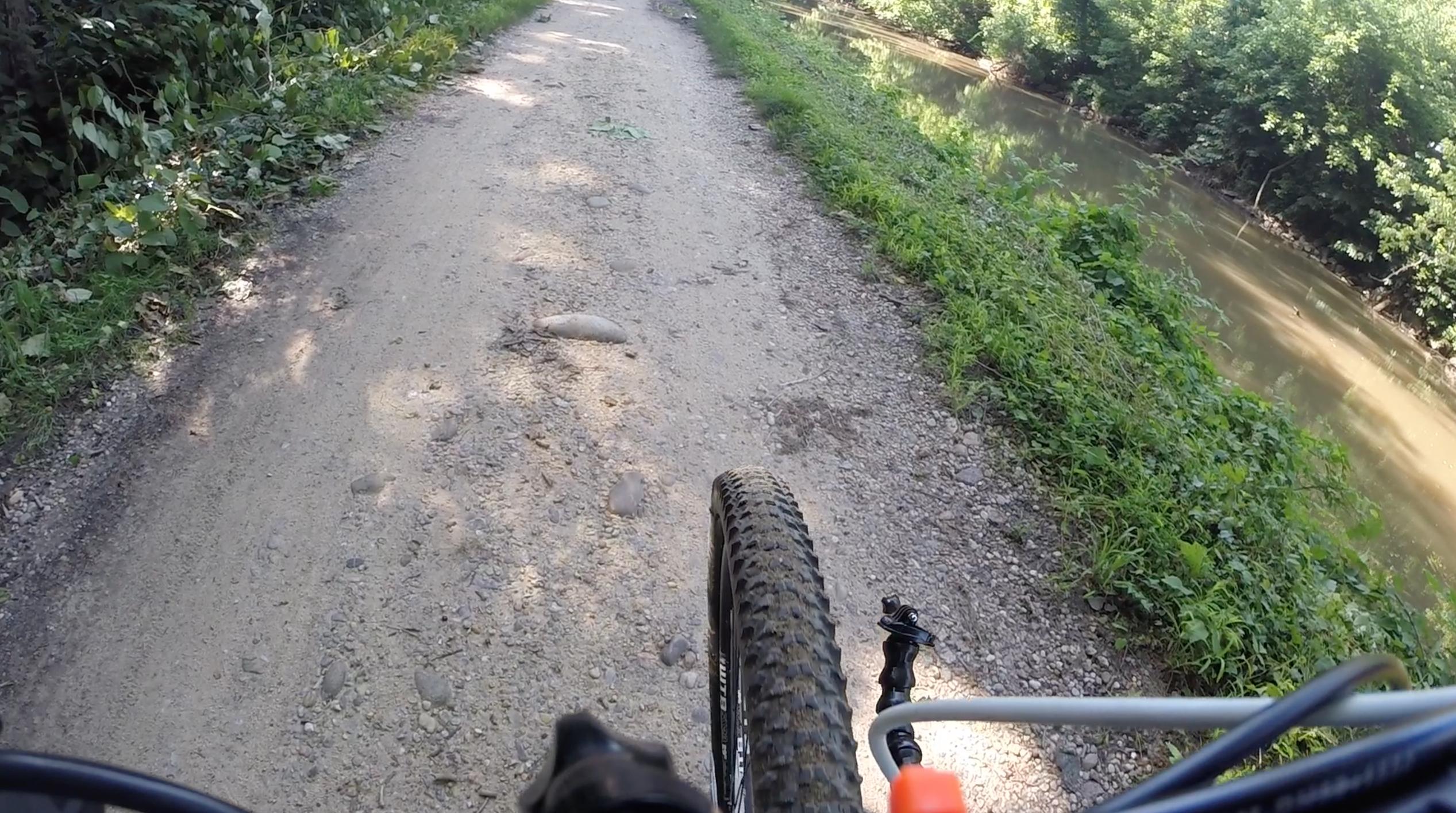A close-up view of a mountain bike tire on a gravel path alongside a river. The path is surrounded by lush greenery, with sunlight filtering through the trees. The scene captures a tranquil outdoor setting ideal for biking or hiking. C&O Canal mountain bike trail.