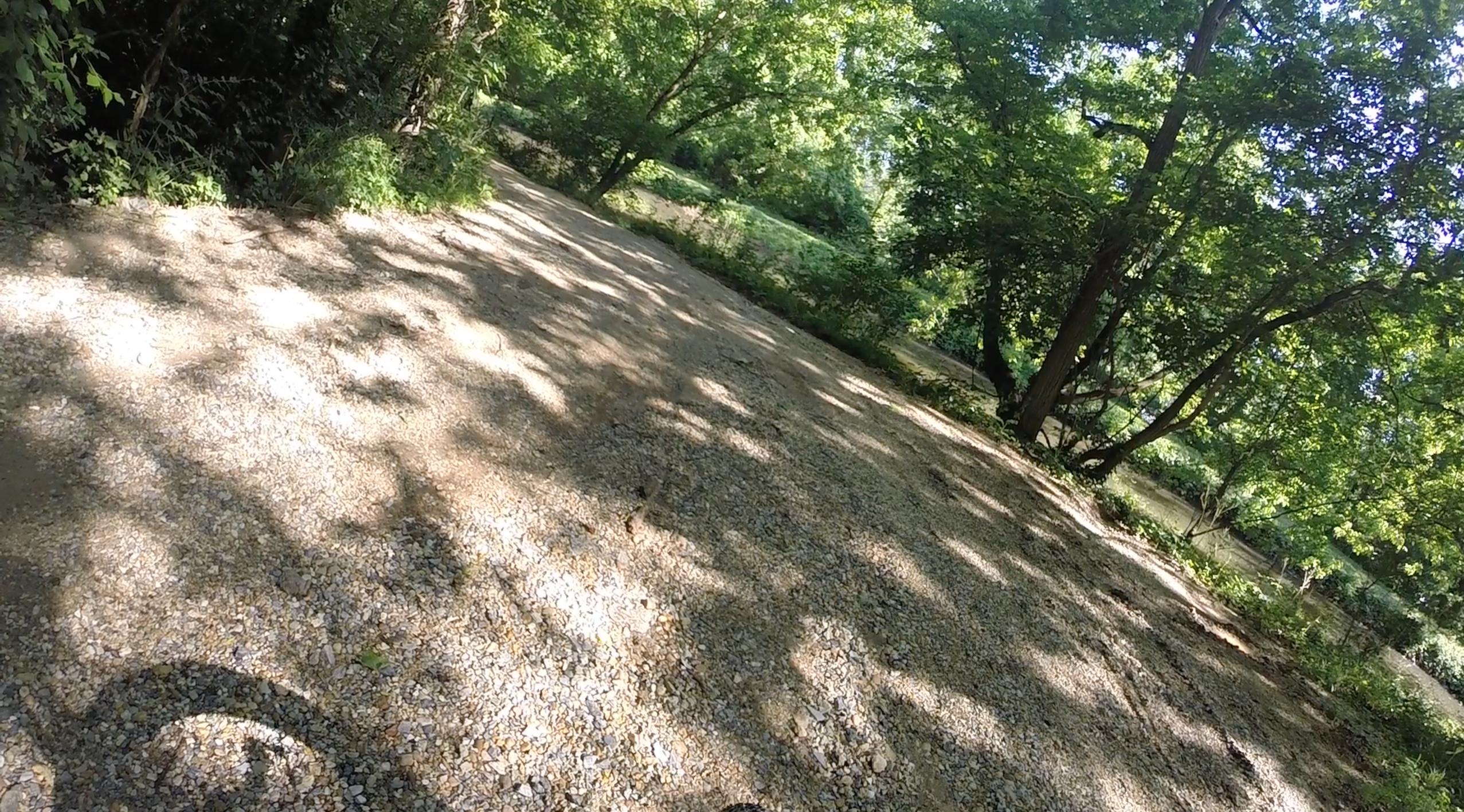 A tranquil, tree-lined path covered with small gravel stones, surrounded by lush green foliage and dappled sunlight filtering through the leaves. The scene evokes a peaceful outdoor setting, perfect for walking or biking. C&O Canal mountain bike trail.