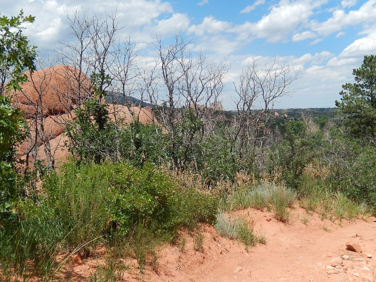 A pathway surrounded by dry, bare tree branches and vibrant green shrubs, leading to reddish rock formations in the background under a partly cloudy sky. Red Rock Canyon mountain bike trail.