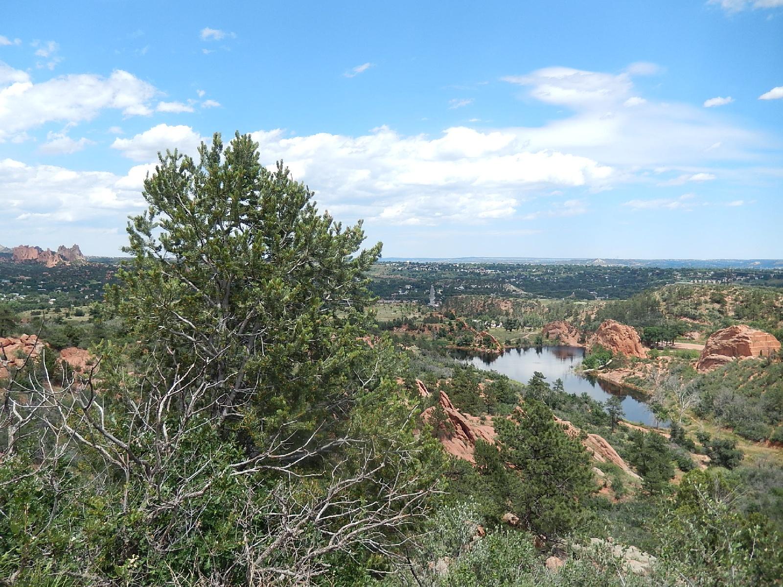 A scenic landscape featuring a lush green tree in the foreground, with red rock formations and a serene lake in the background. The view is set against a bright blue sky dotted with fluffy white clouds, showcasing a vibrant natural environment. Red Rock Canyon mountain bike trail.