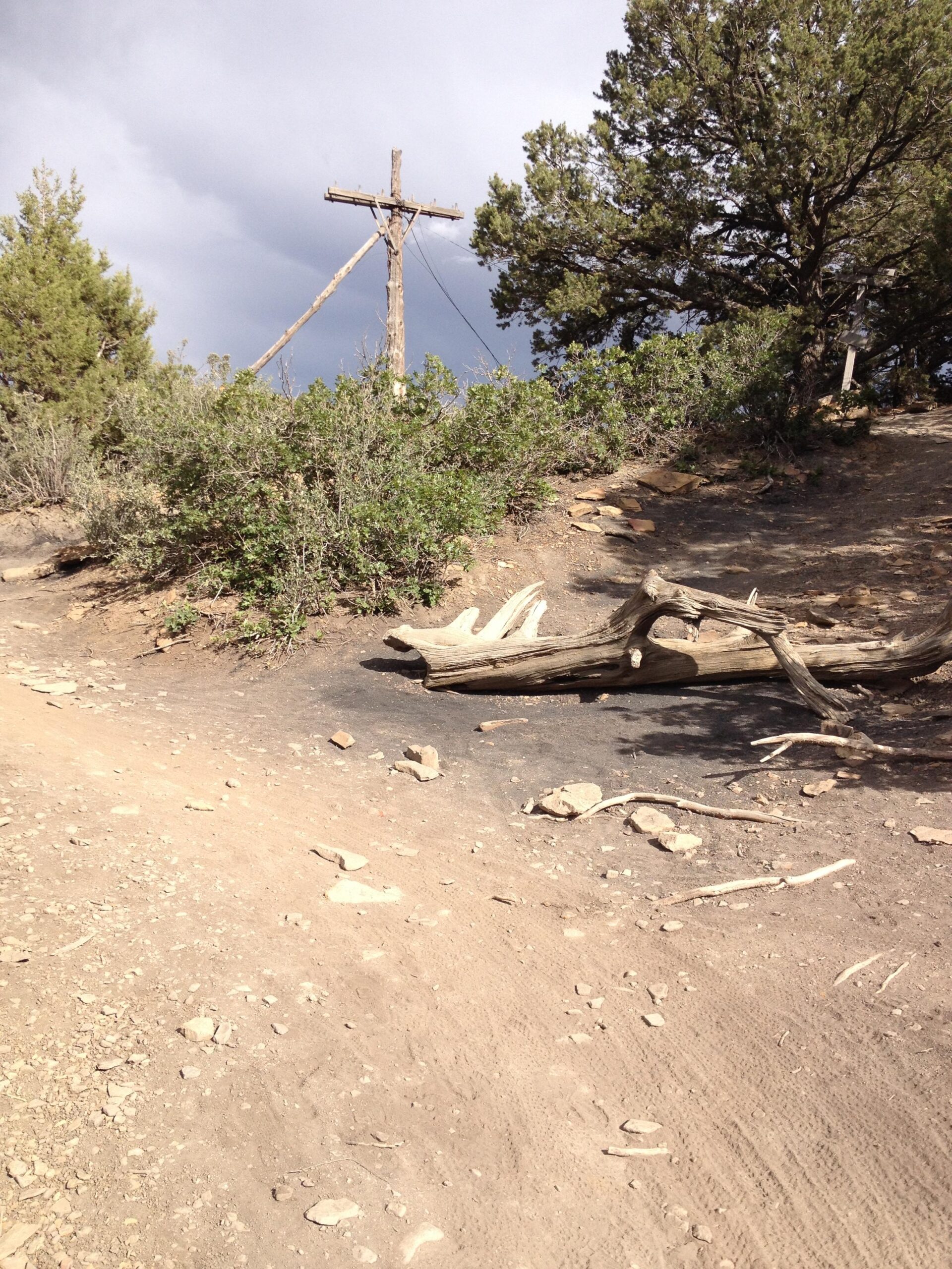 A dusty trail surrounded by shrubs and trees, featuring a fallen log and a wooden power pole in the background under a cloudy sky. Telegraph Trail System mountain bike trail.