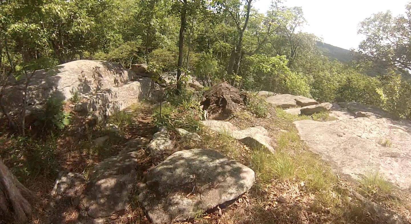A rocky trail surrounded by greenery, with large boulders and trees, under a bright sky. Sunlight filters through the leaves, highlighting the natural landscape. Allamuchy State Park-North mountain bike trail.