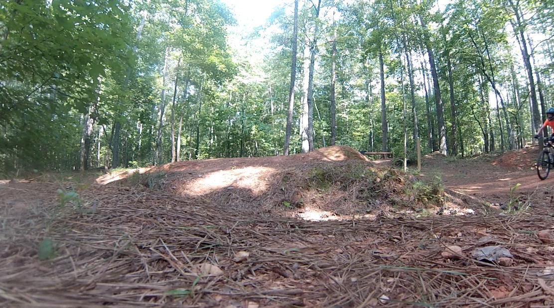 A mountain biker rides along a dirt trail through a wooded area, with a dirt jump ramp visible in the foreground surrounded by pine needles and foliage. Sunlight filters through the trees, creating a natural and vibrant outdoor setting. Quehl Holler mountain bike trail.