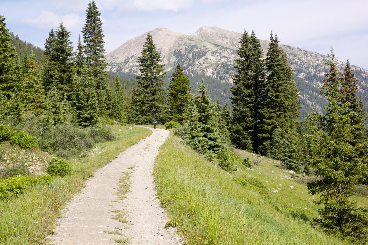 A scenic dirt path winding through a forest of tall evergreen trees, with rolling hills and mountains visible in the background under a partly cloudy sky. A lone hiker can be seen walking along the trail, surrounded by lush greenery and wildflowers. CDT: Alpine Tunnel mountain bike trail.