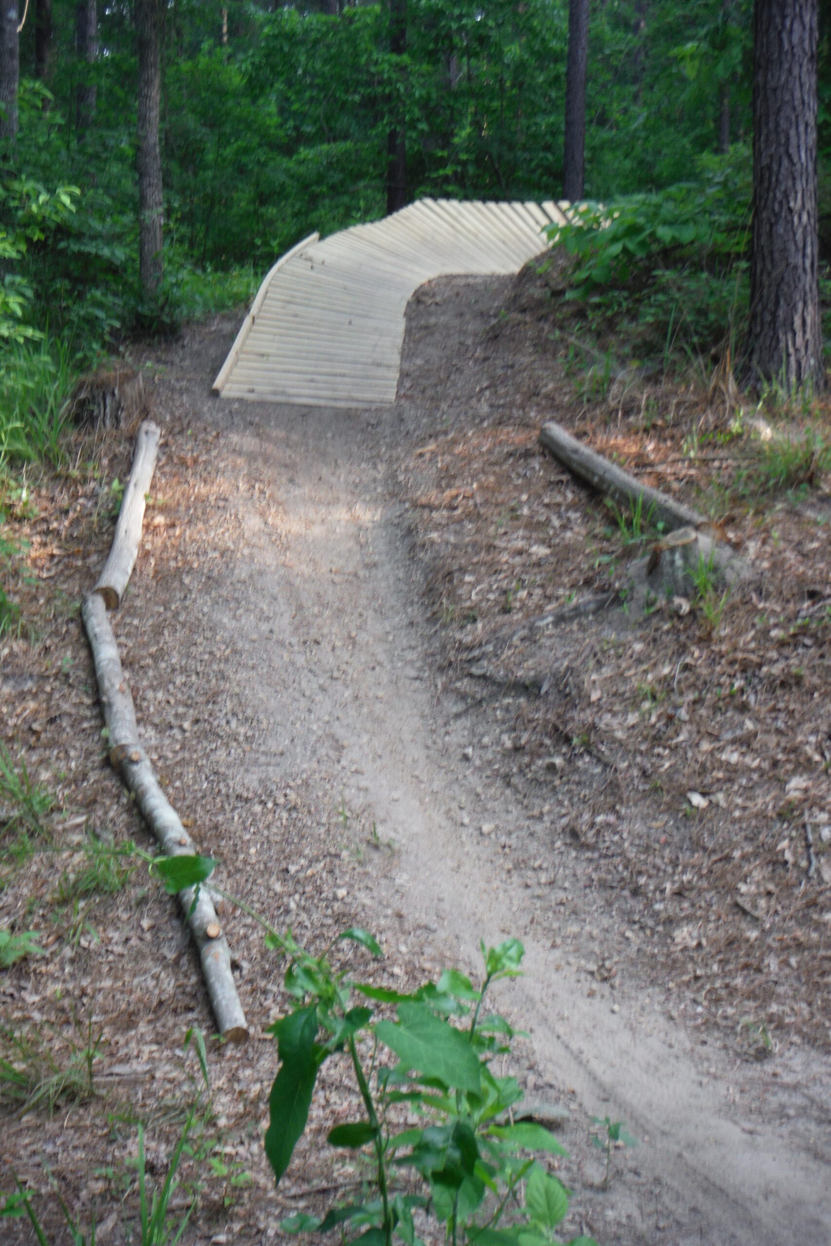 A winding dirt path in a wooded area, featuring a wooden hill climb ramp at the end. Surrounding vegetation includes various greenery and small plants, with scattered dry leaves on the ground. The scene captures a natural, outdoor setting suitable for biking or hiking. Mt. Zion Bike Trails mountain bike trail.