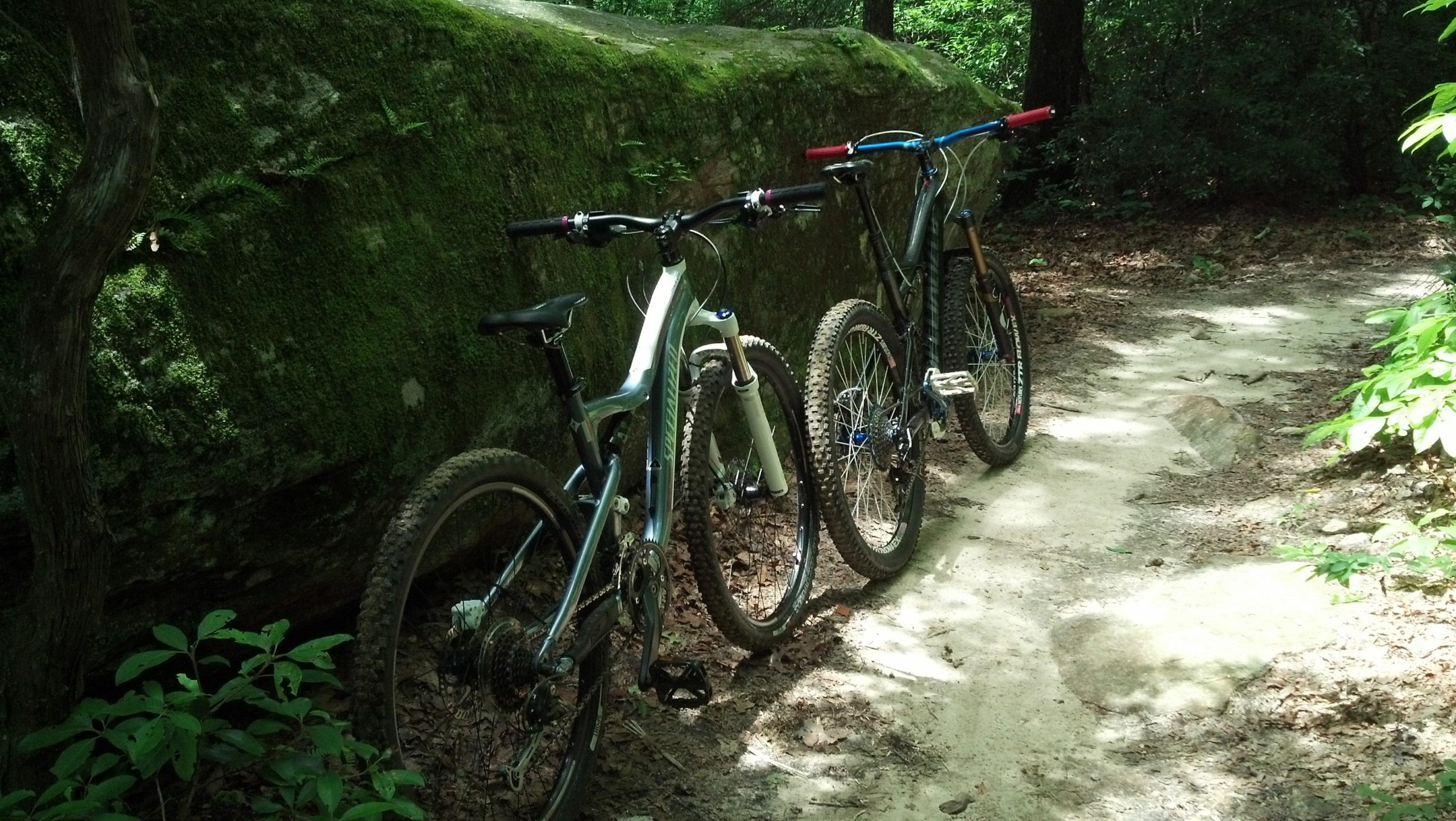 Two mountain bikes are parked beside a moss-covered boulder on a forest trail. The scene features lush greenery and fallen leaves surrounding the bikes, suggesting a peaceful outdoor setting perfect for biking. DuPont State Recreational Forest mountain bike trail.