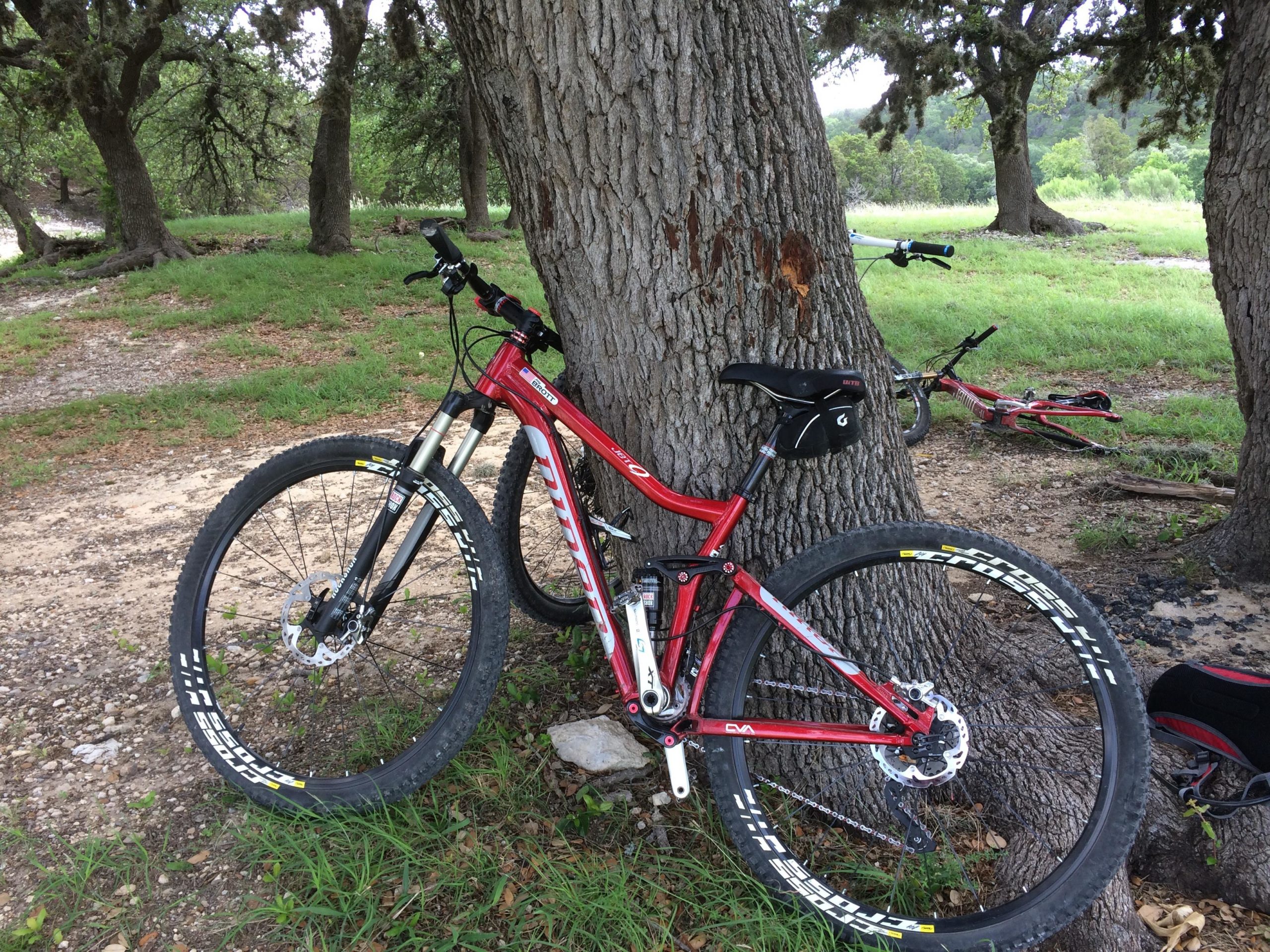 A red mountain bike resting against a tree, with another bike visible in the background. The scene is set in a grassy area surrounded by trees. The ground is a mix of dirt and gravel, and the overall atmosphere suggests an outdoor recreational setting. Dana Peak mountain bike trail.