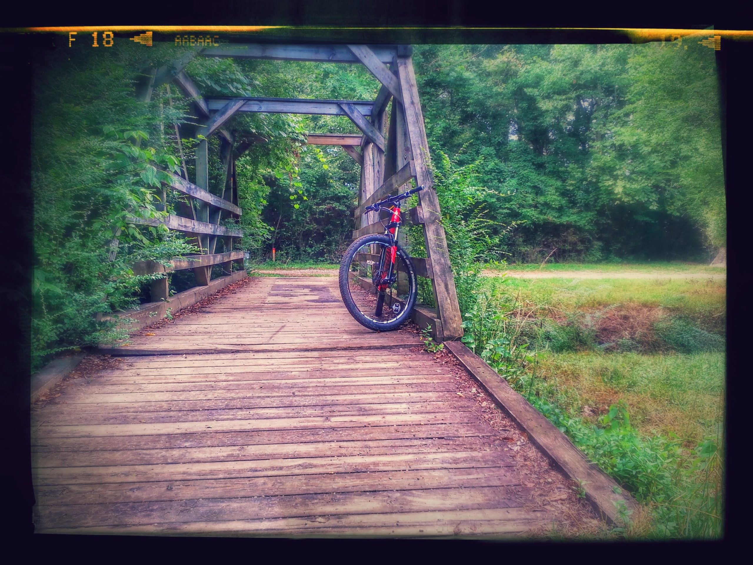 A mountain bike leaning against a wooden bridge on a natural trail surrounded by green foliage. The path leads into a lush, wooded area, with grass and plants visible near the bridge. Gainesville College mountain bike trail.